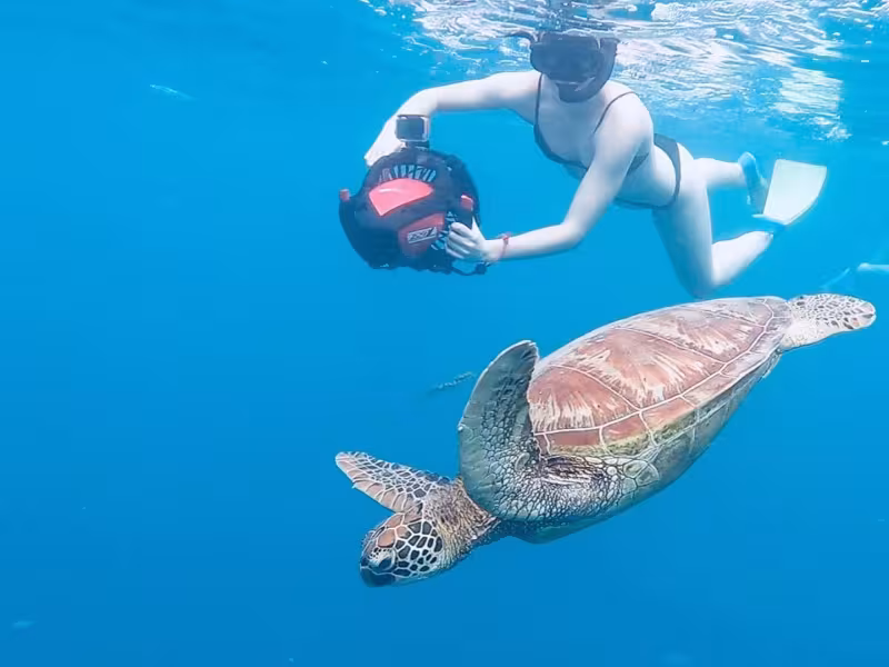 Turtle Sea Scooter Safari with Ariki Adventures Rarotonga