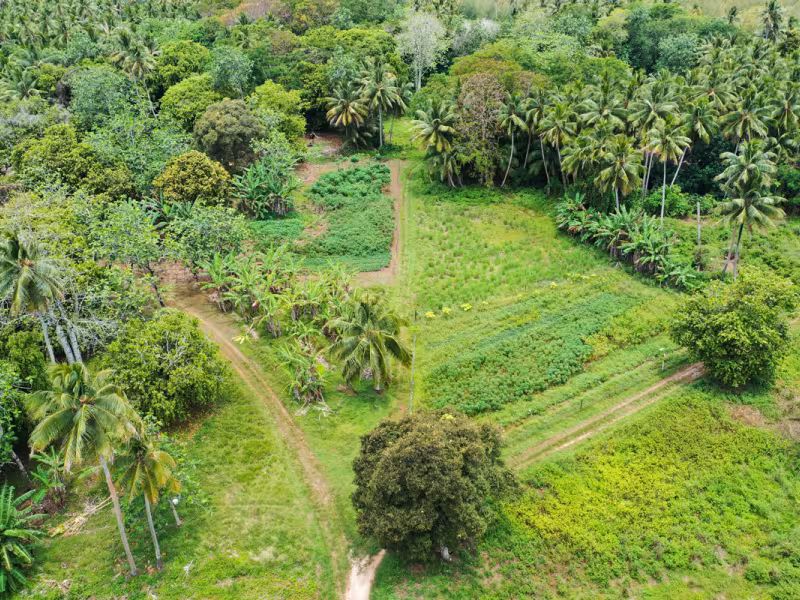 1. COVER Mitiaro-Aerial-Plantation.jpg