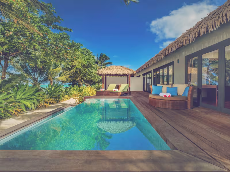 Nautilus honeymoons