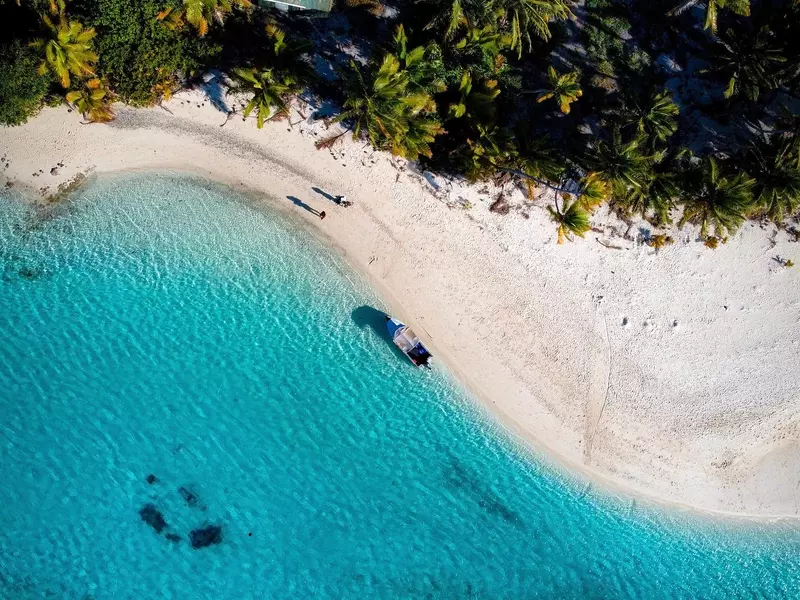 Paradise Found!