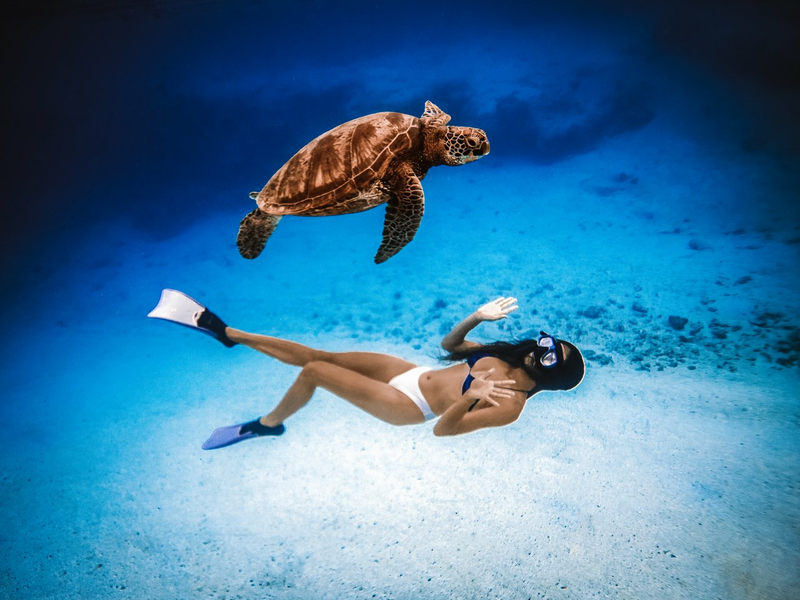 Tutle and woman swim underwater