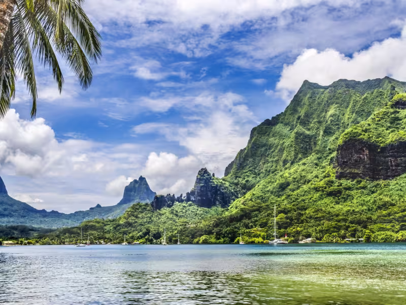 Cook's Bay Moorea