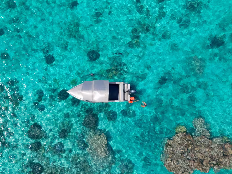 Coral T Tours