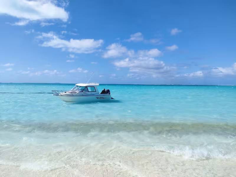 Black pearl charter boat