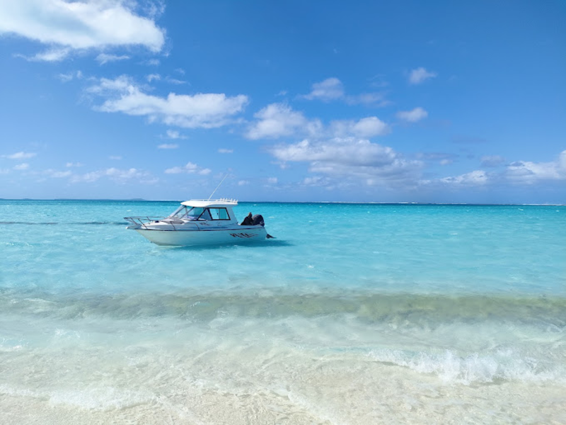 Black pearl charter boat