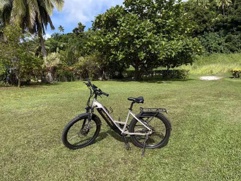 E-Bike for Hire