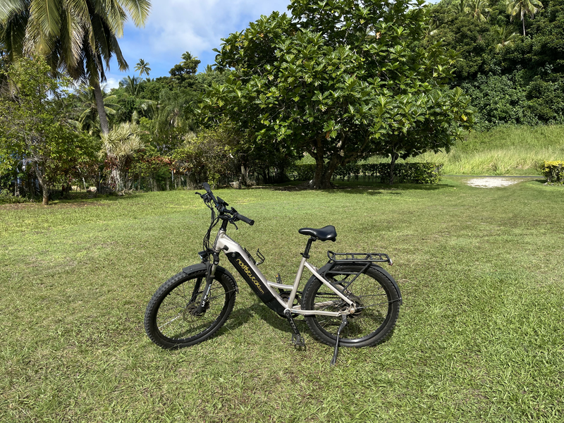 E-Bike for Hire
