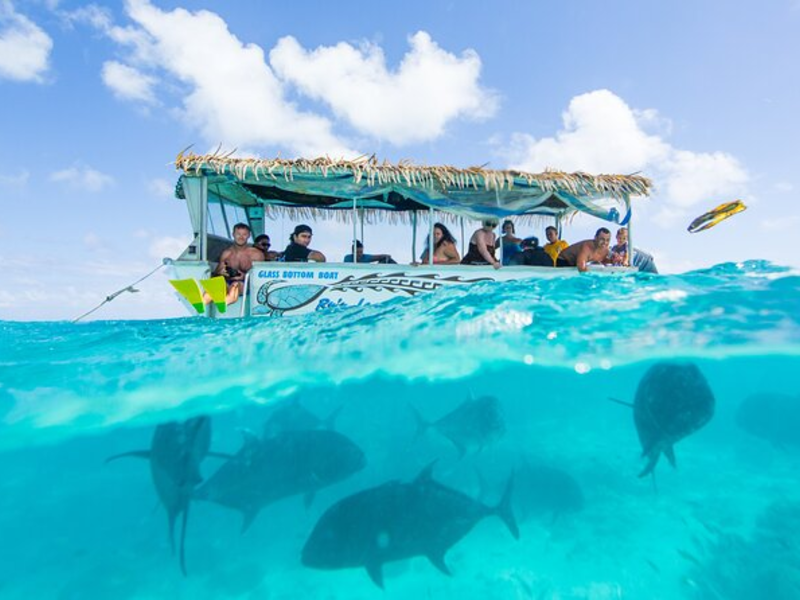 Glass bottom boat - Ru's Lagoon Cruise