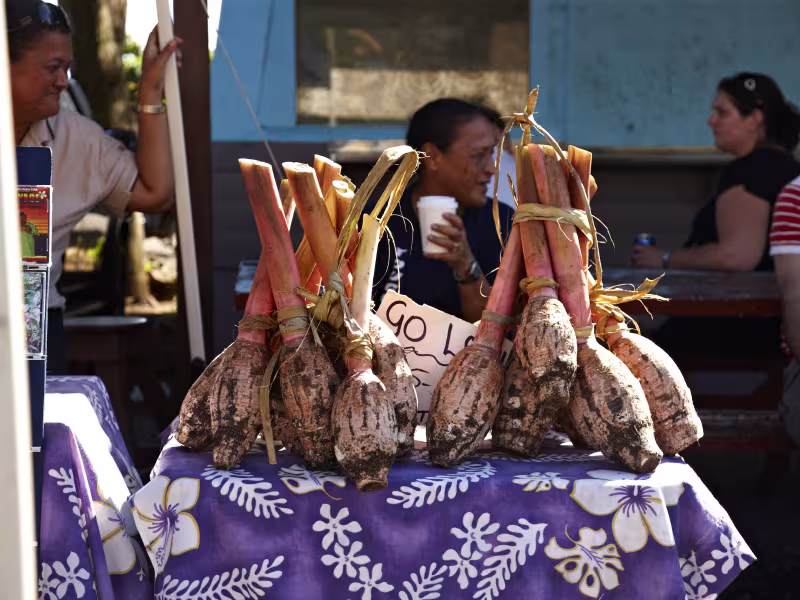 Taro at the market