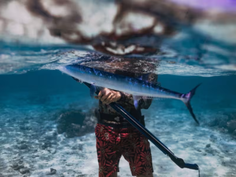Spearfishing with Go Local