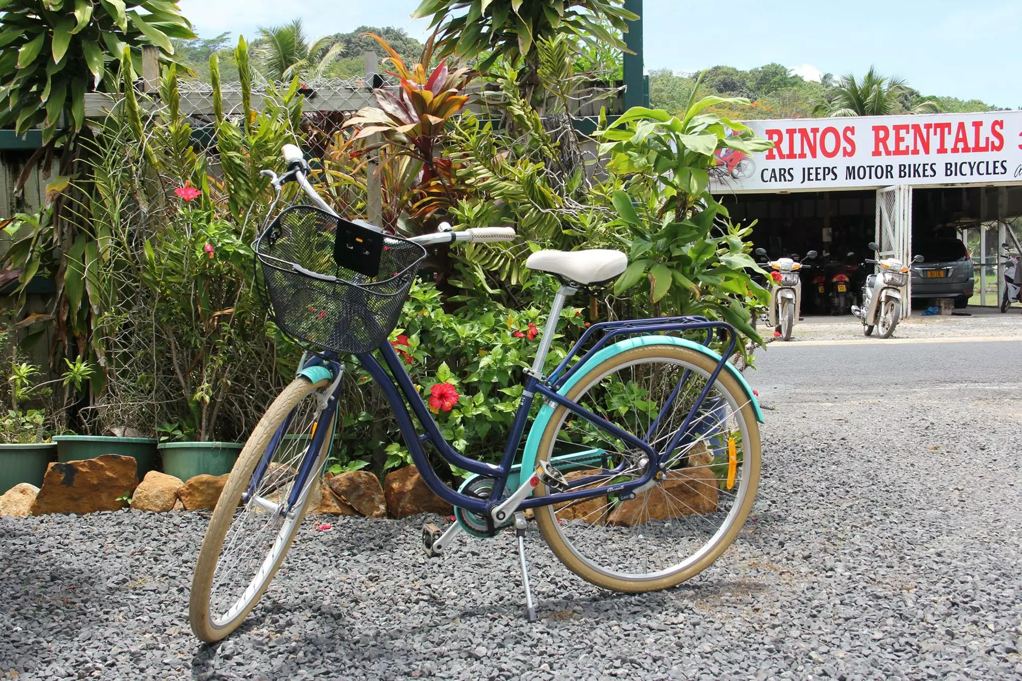 Rinos Rentals Bike