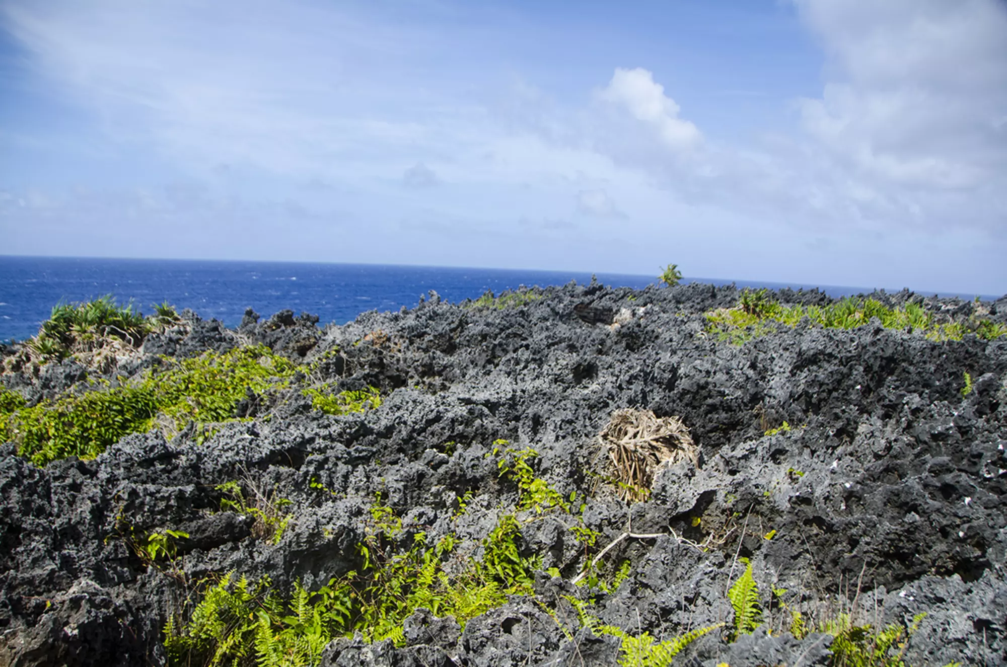 Mangaia