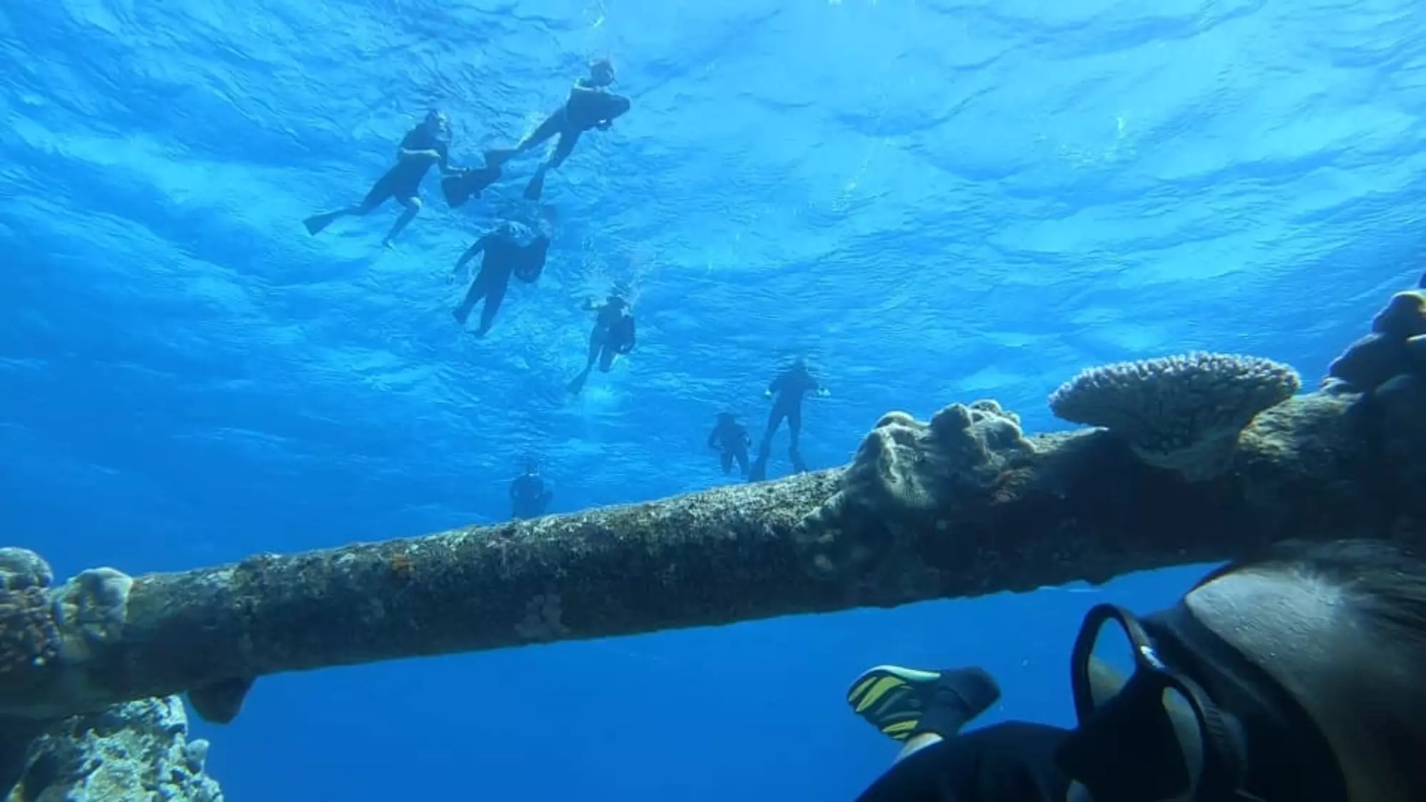 Ariki Adventures Shipwreck Sea Scooter Tour Group