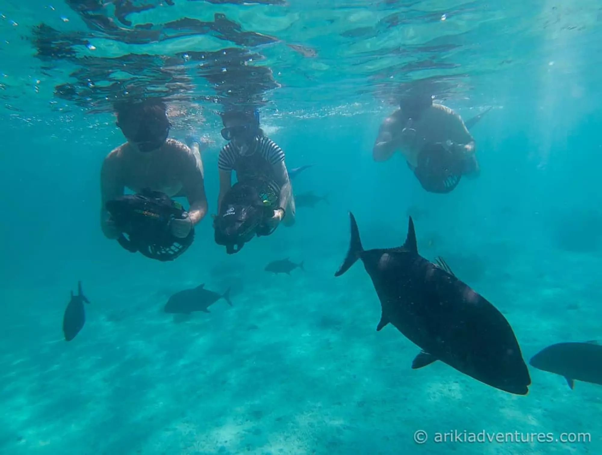 Lagoon Discovery Sea Scooter Safari with Ariki Adventures in Rarotonga