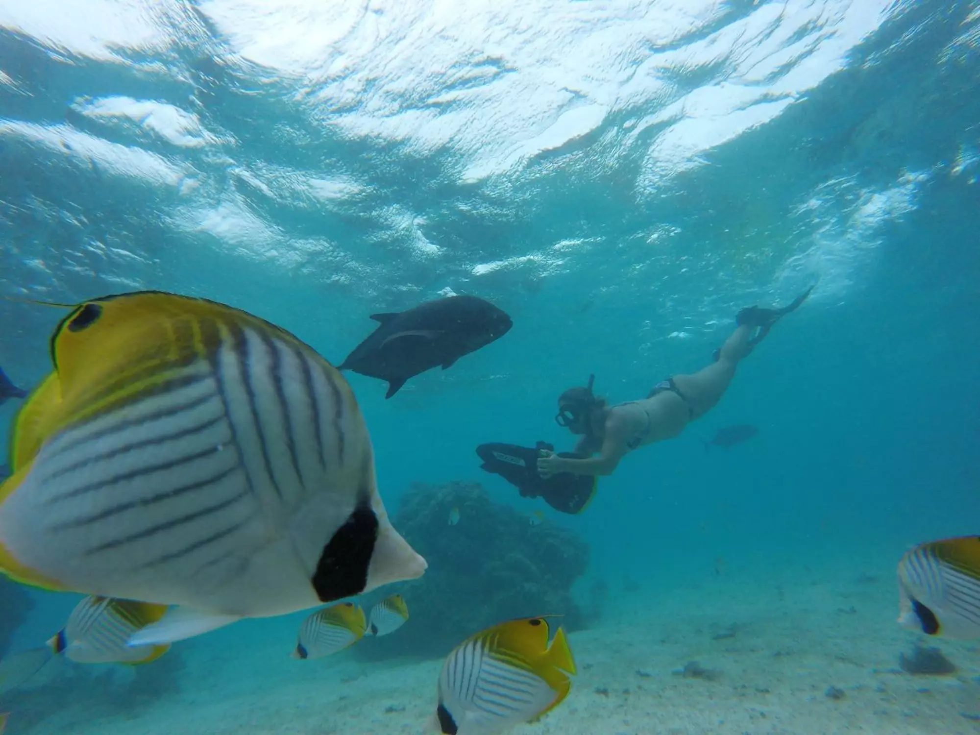 "Tai" Sea Scooter Snorkel Tour with KiteSUP Watersports Cook Islands