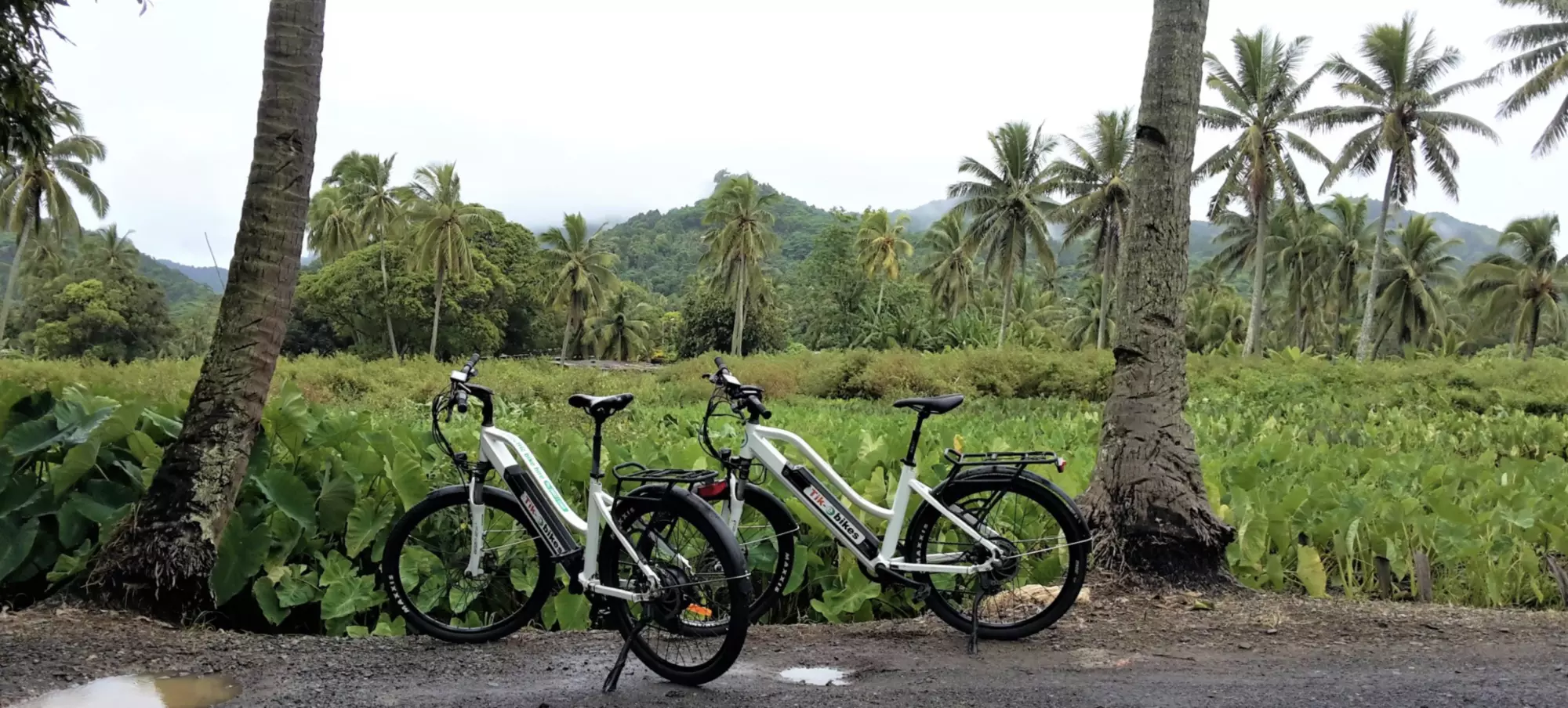Rent e-Bikes with Tik-e Tours in Rarotonga