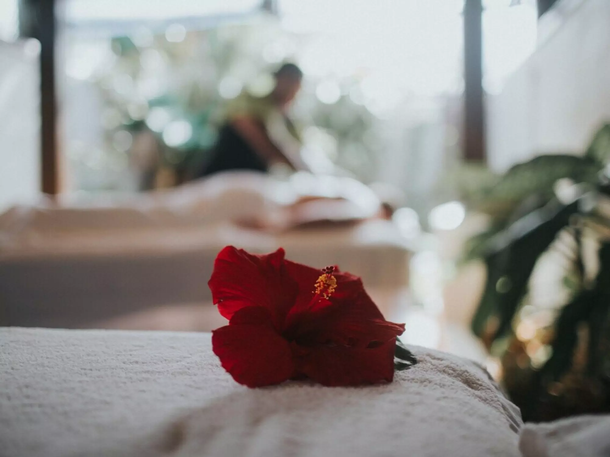 Spa Nautilus Treatment Suite in Rarotonga