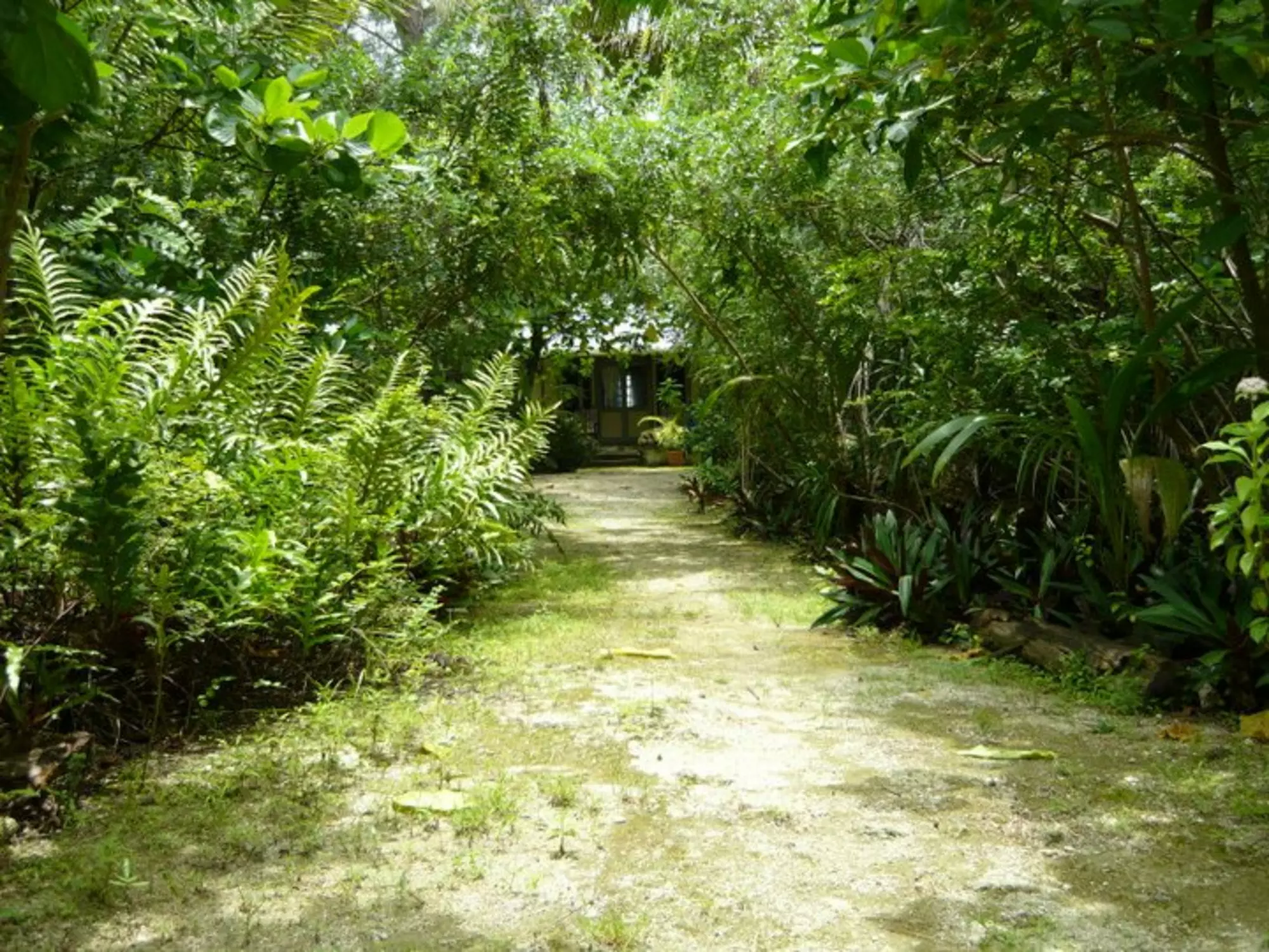 O Kiva Cottage walk way 