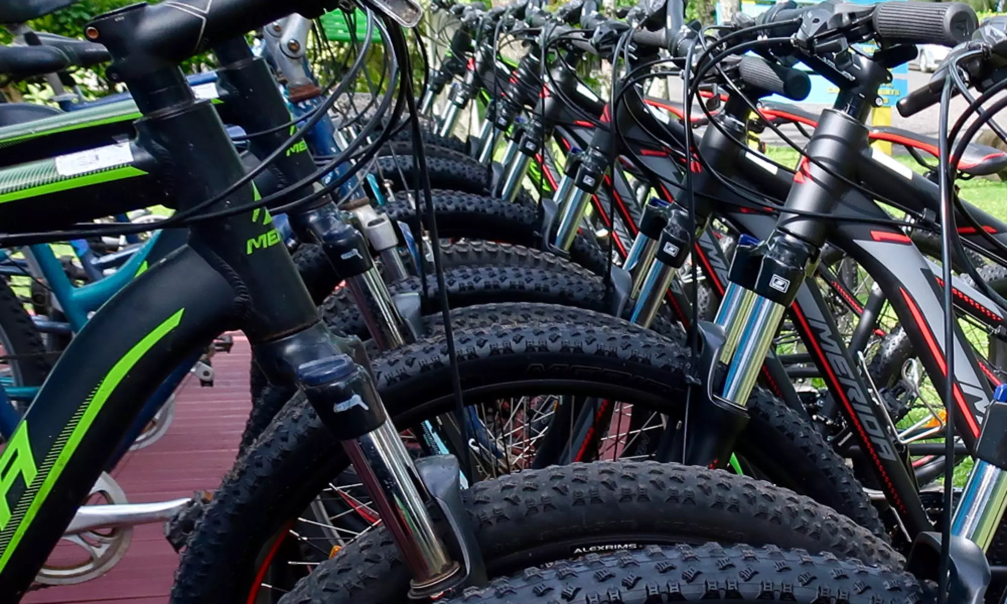 bicycle 2