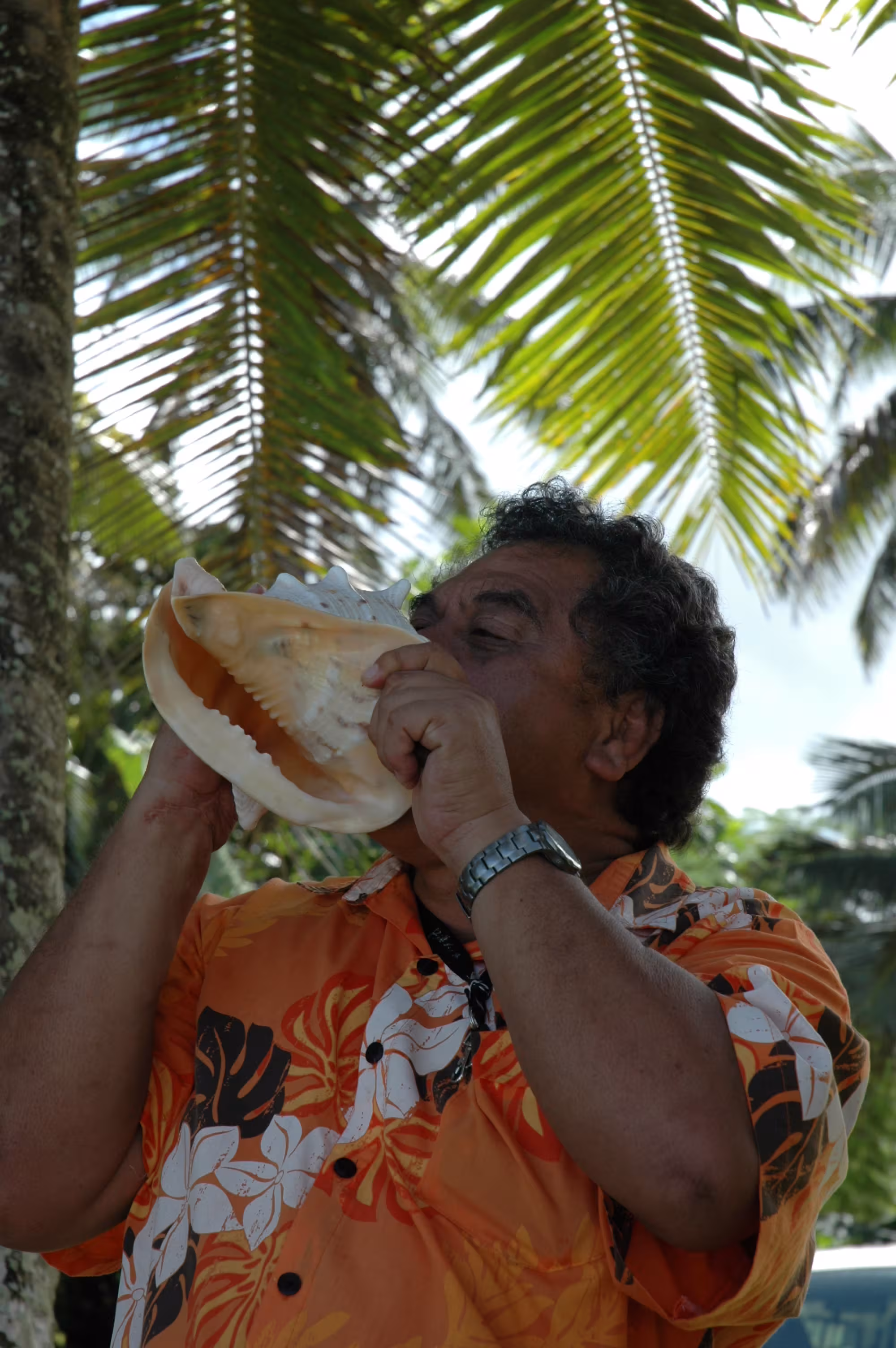 Rarotonga Orientation & Sites Tour