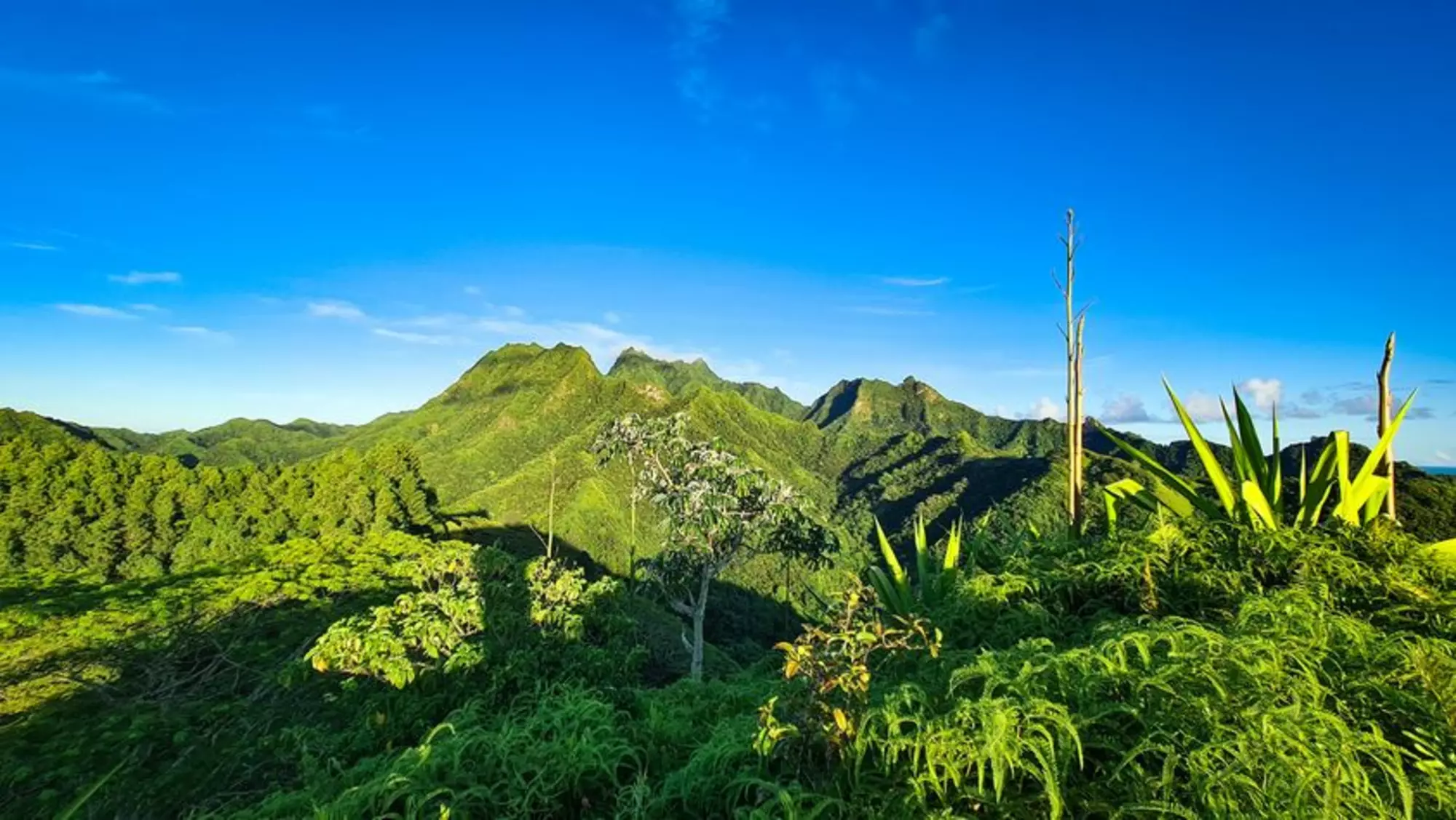 Arore Mountain Trek 2