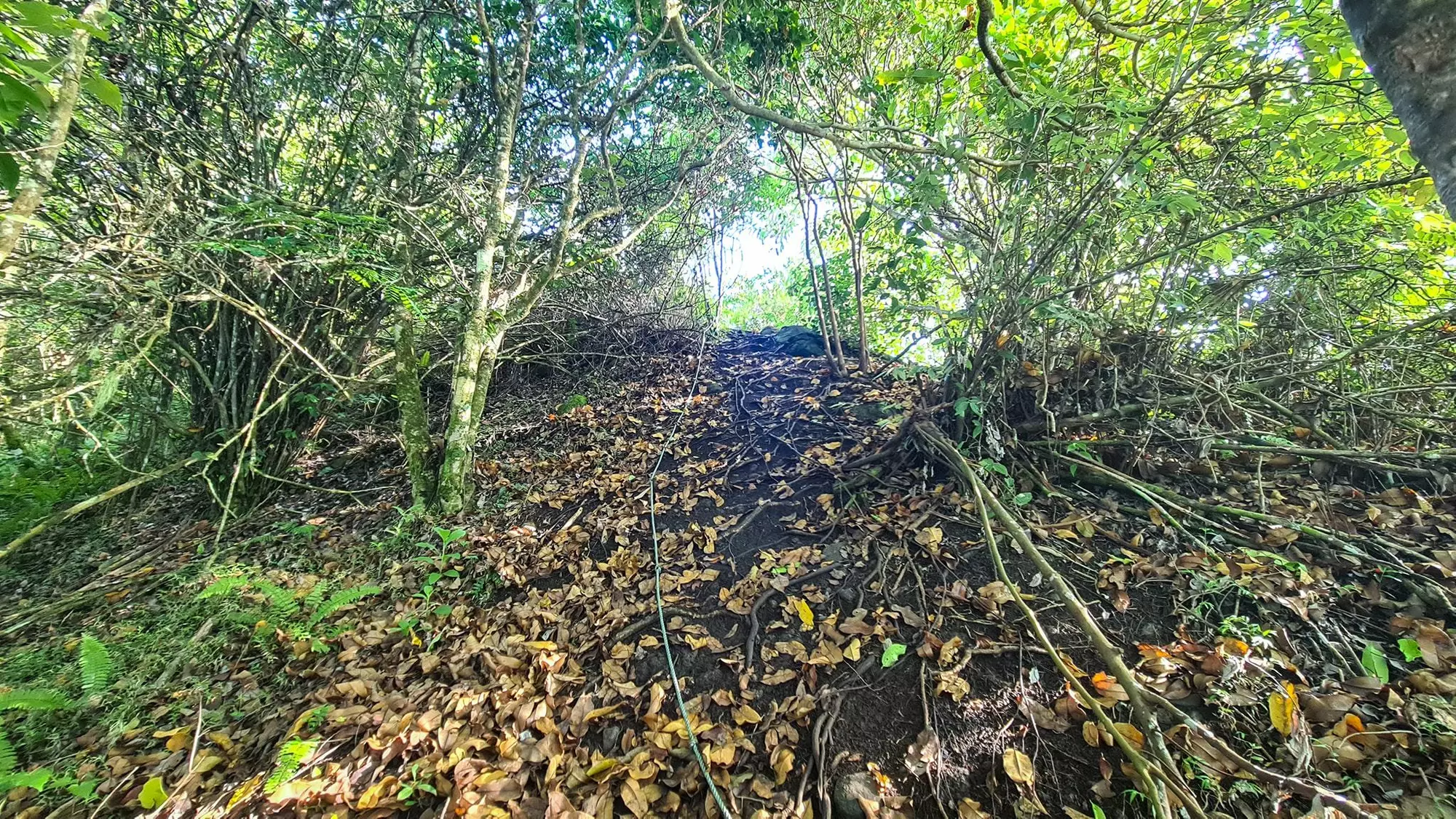 Arore Mountain Trek 3
