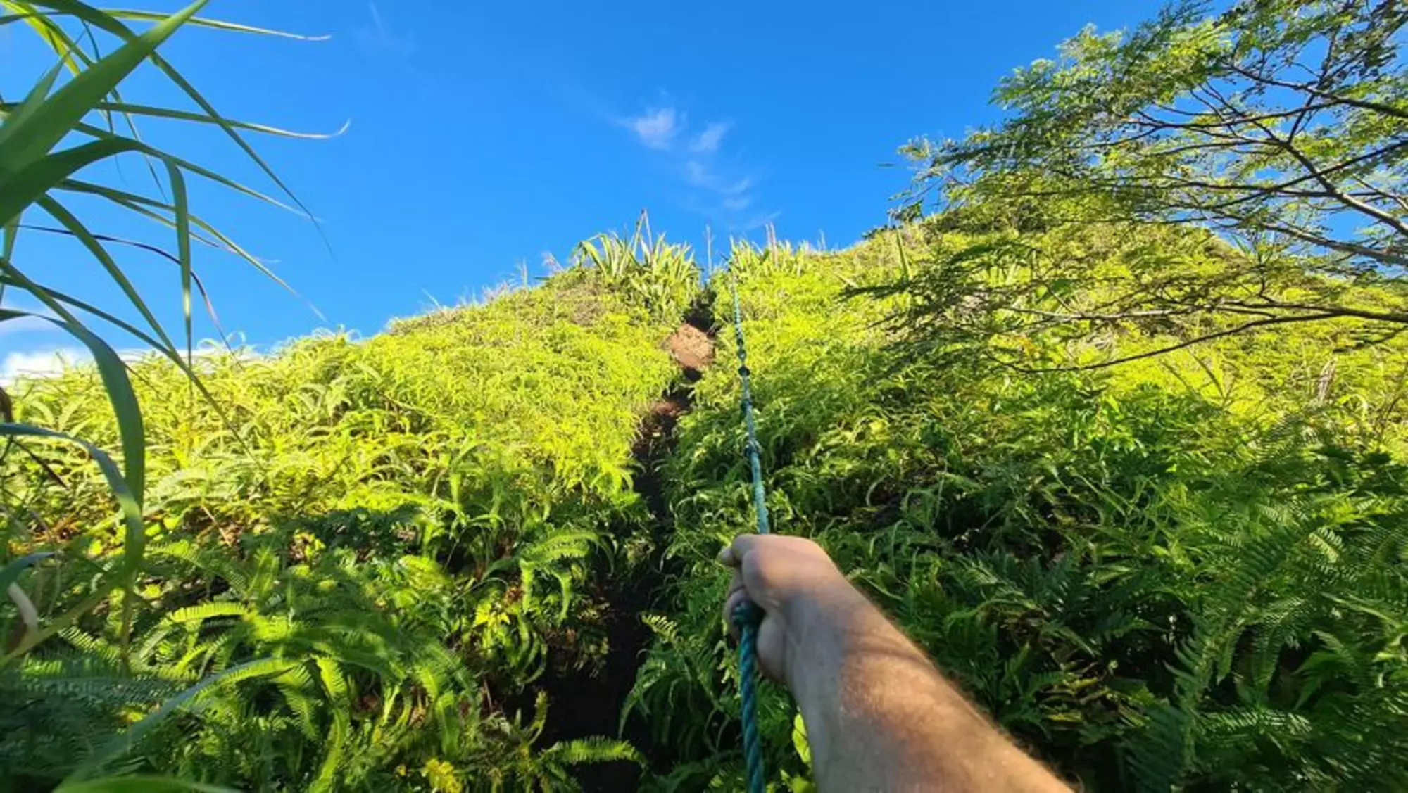Arore Mountain Trek 5
