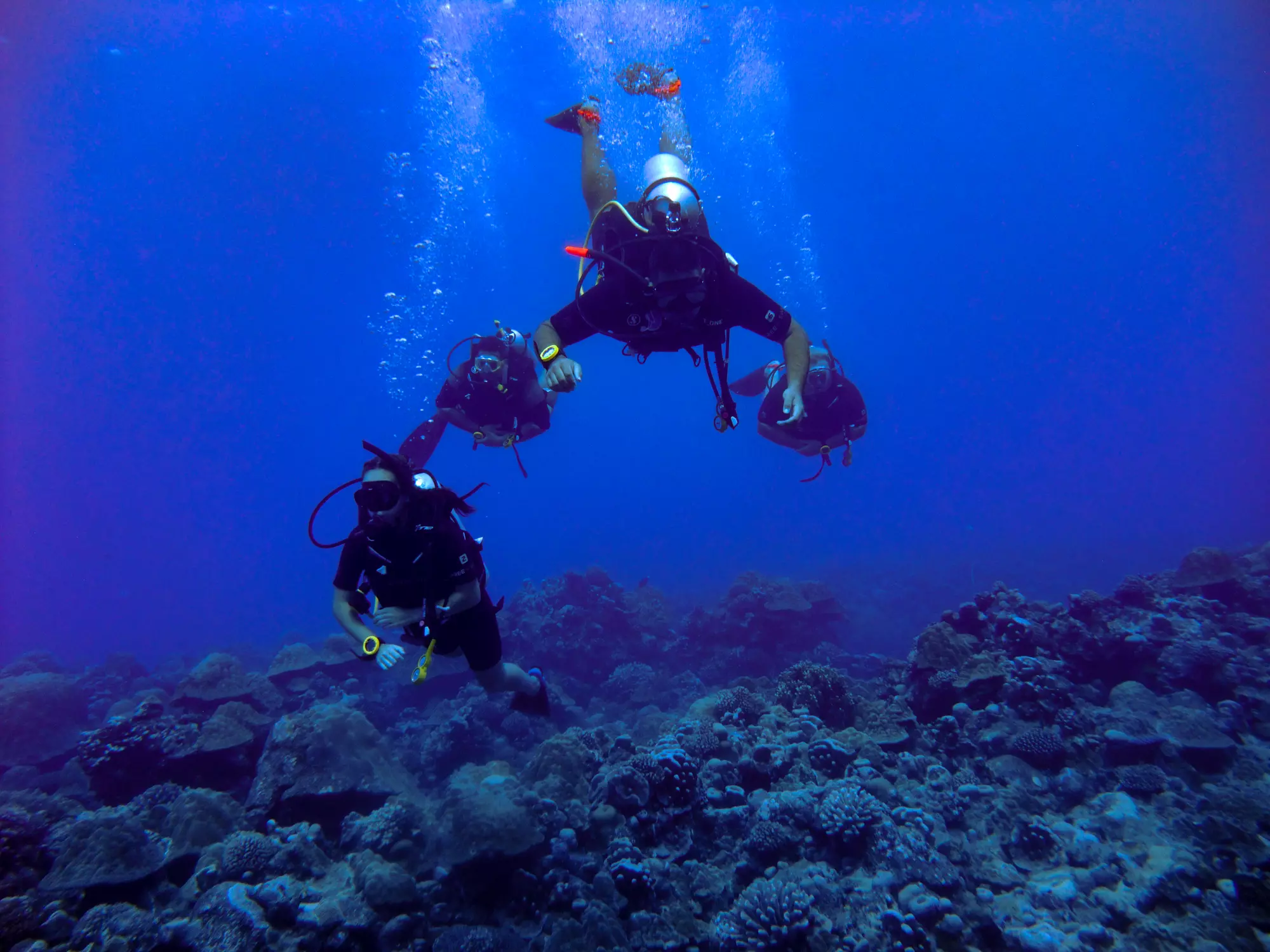 Dive Rarotonga Ltd