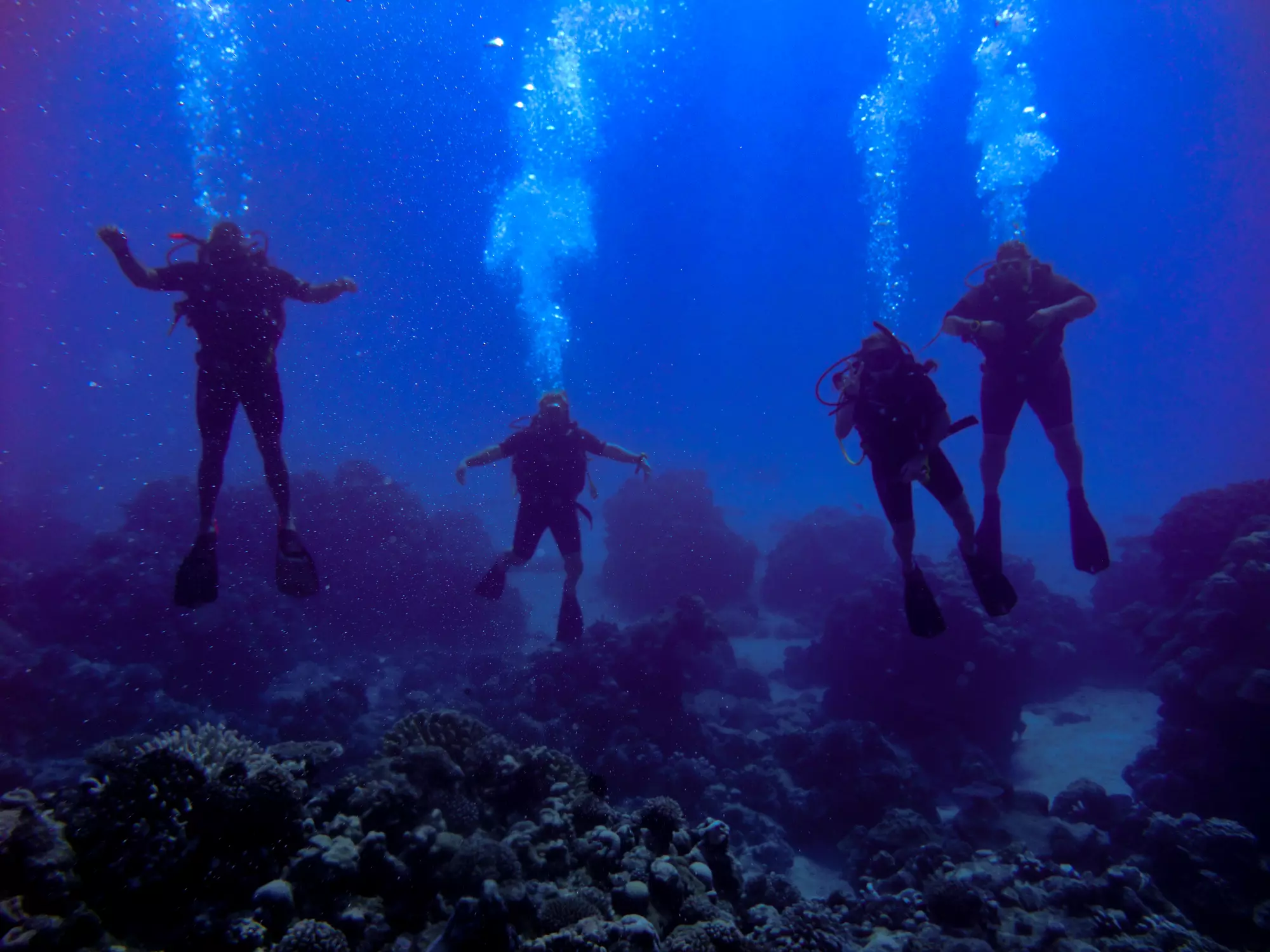 Dive Rarotonga Ltd
