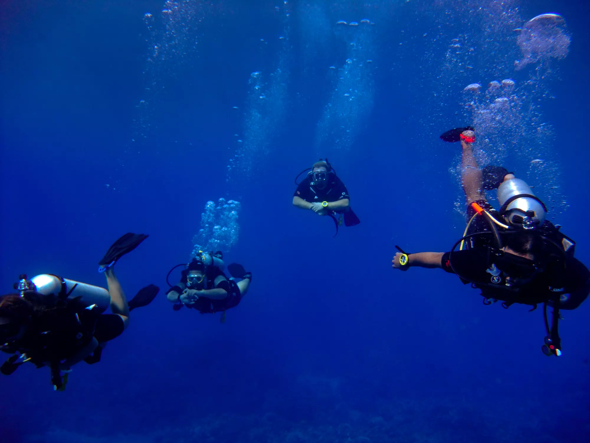Dive Rarotonga Ltd
