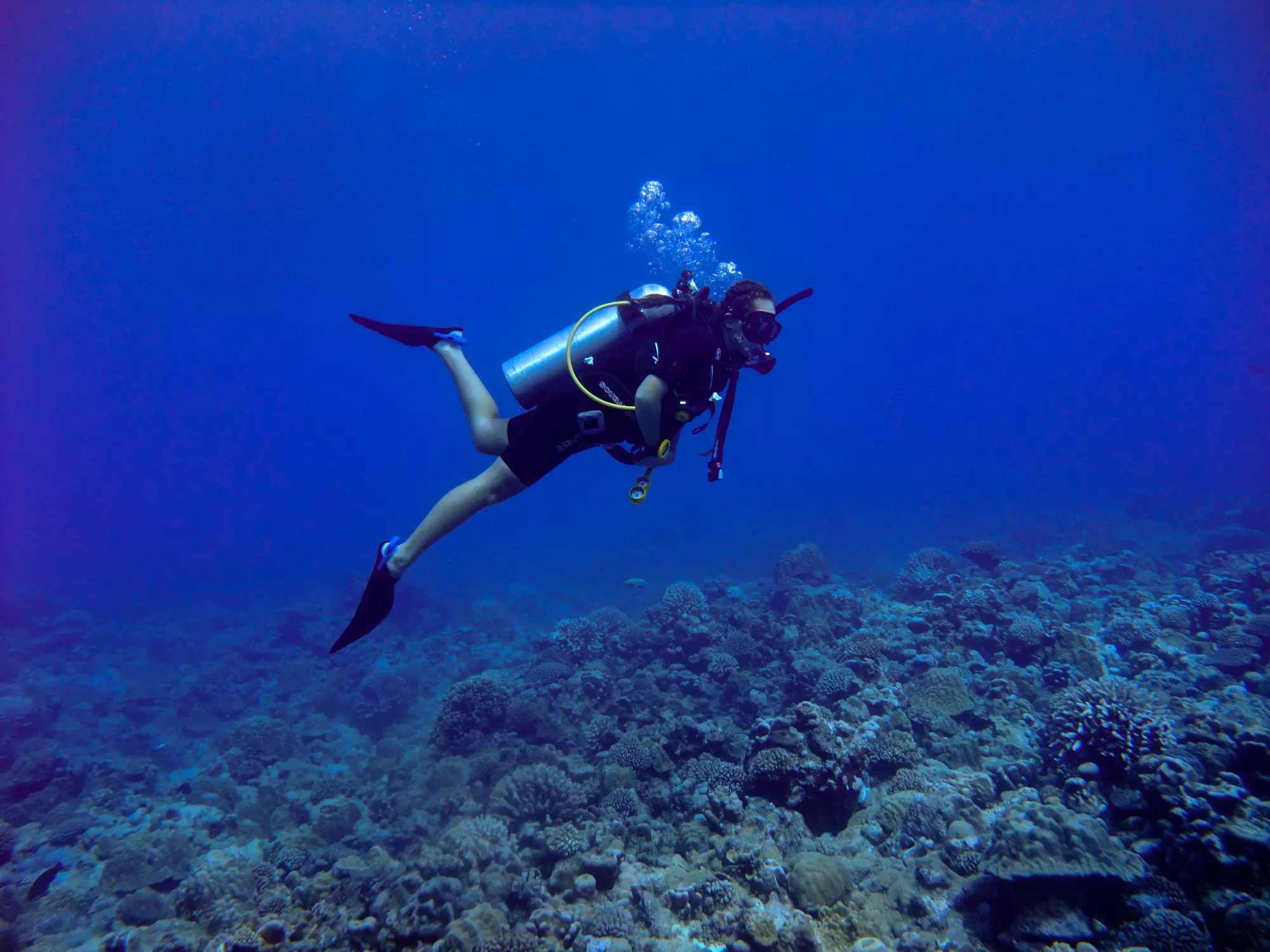 Dive Rarotonga Ltd