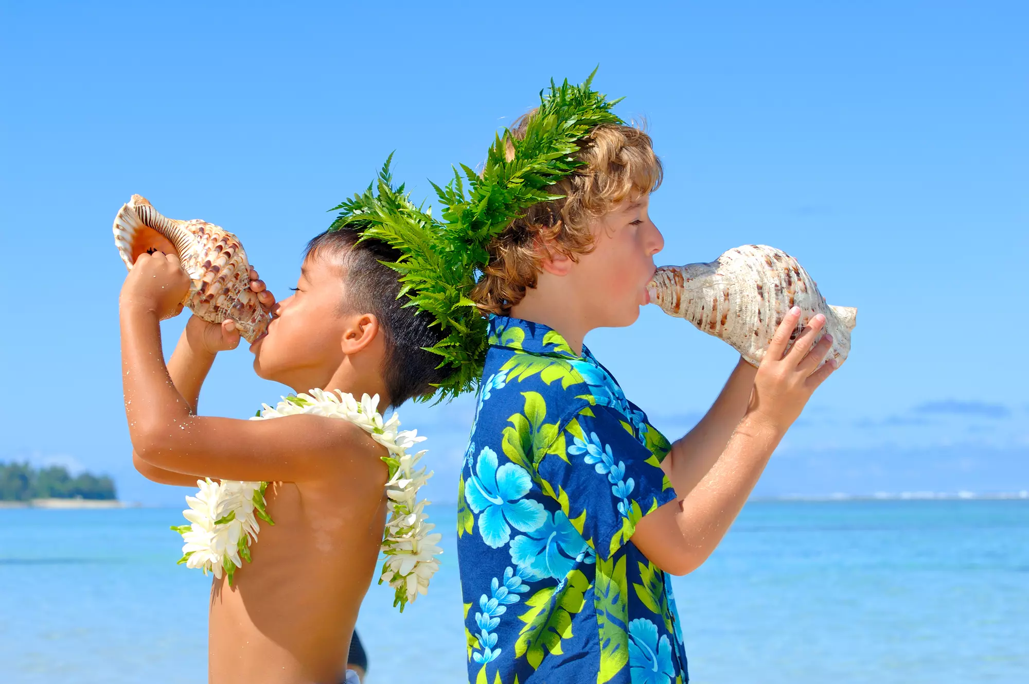 The Rarotongan Beach Resort & Lagoonarium