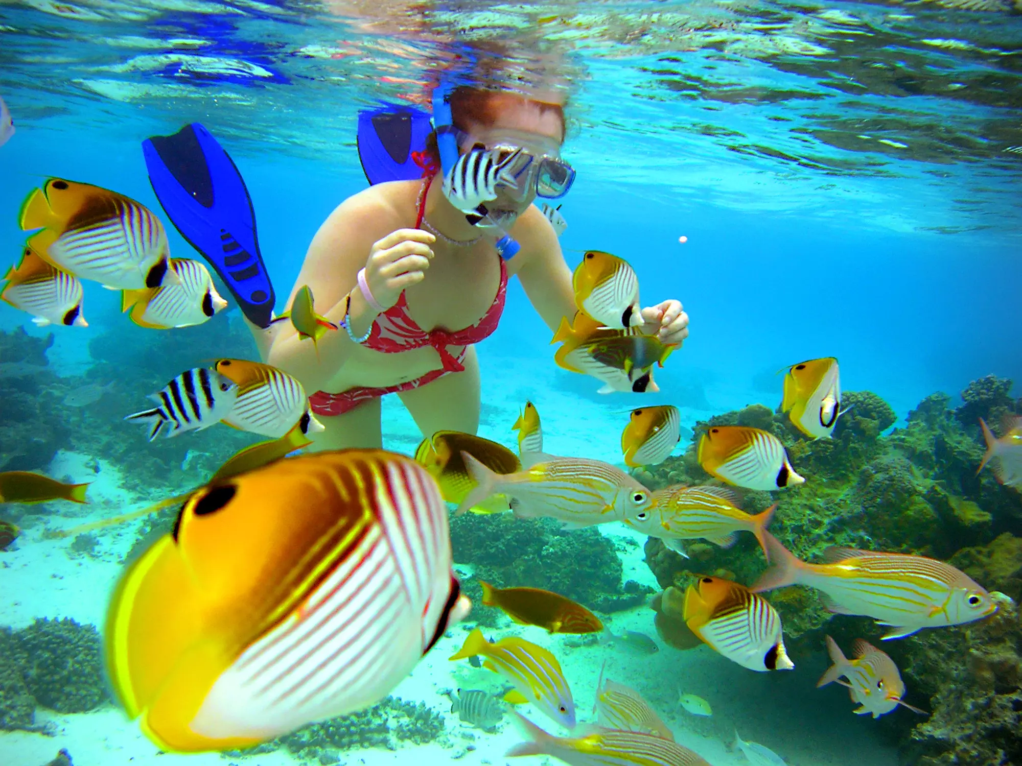 The Rarotongan Beach Resort & Lagoonarium