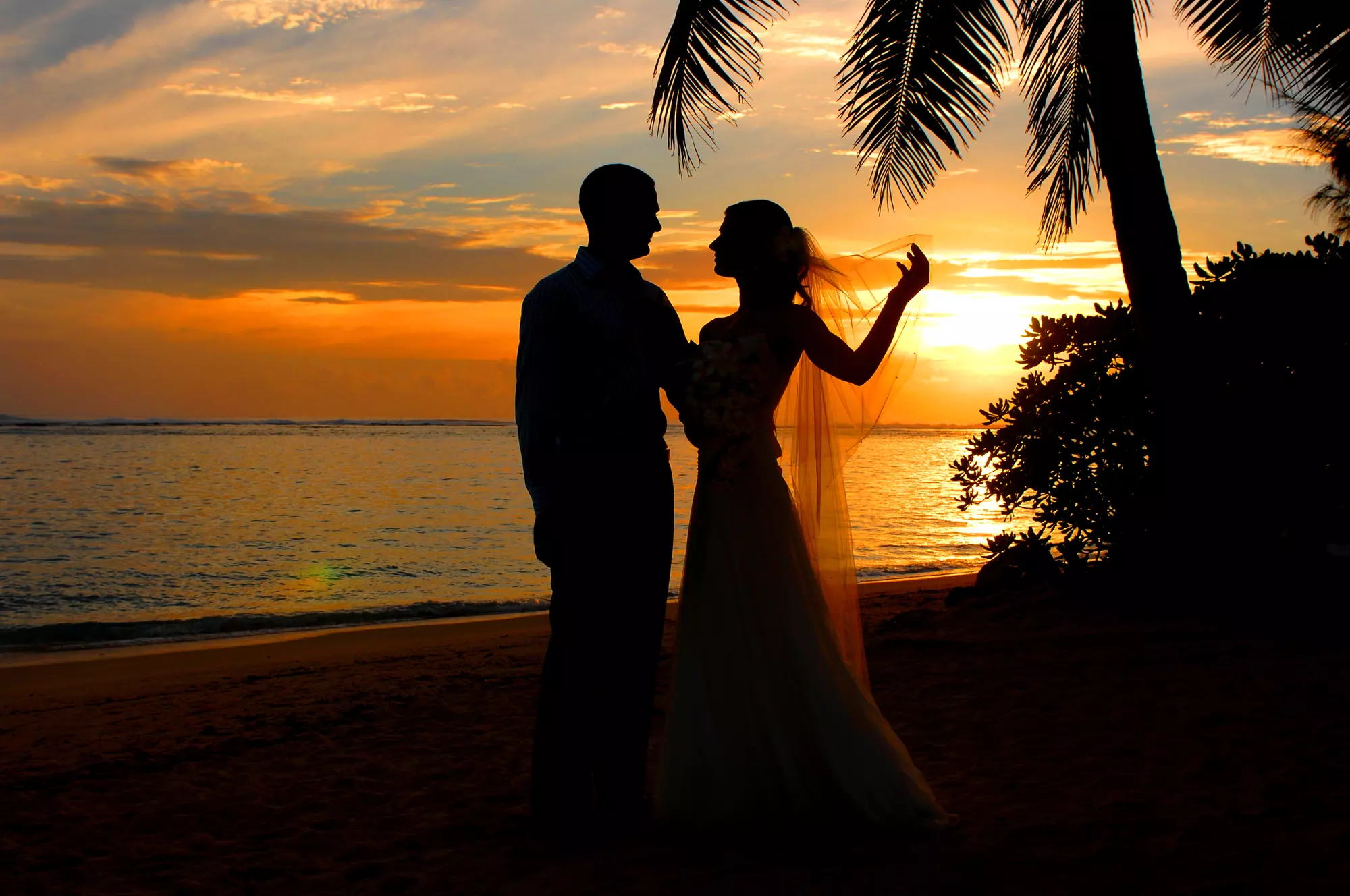 Rarotongan Beach Resort 2