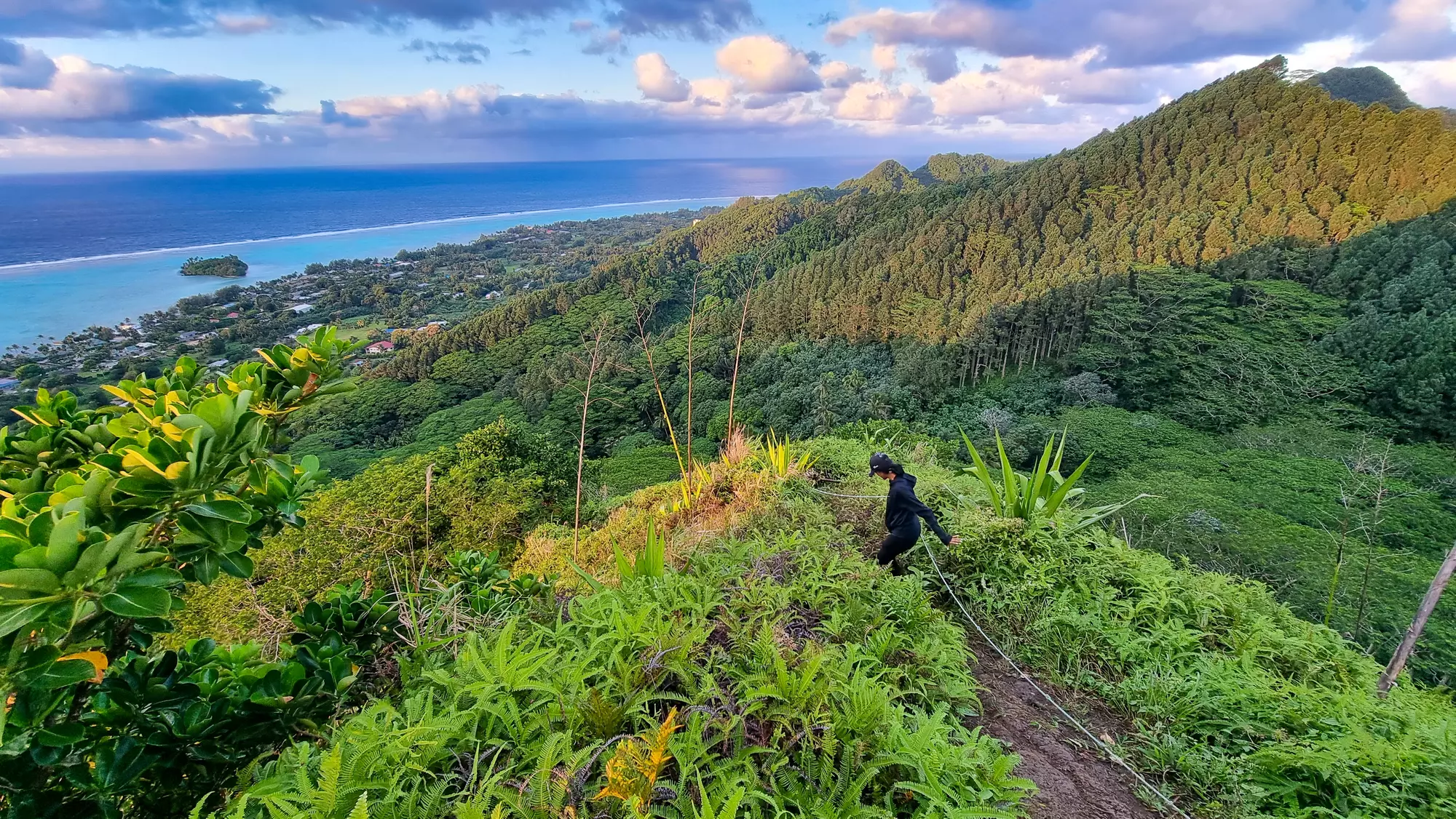Arore Mountain Trail 6