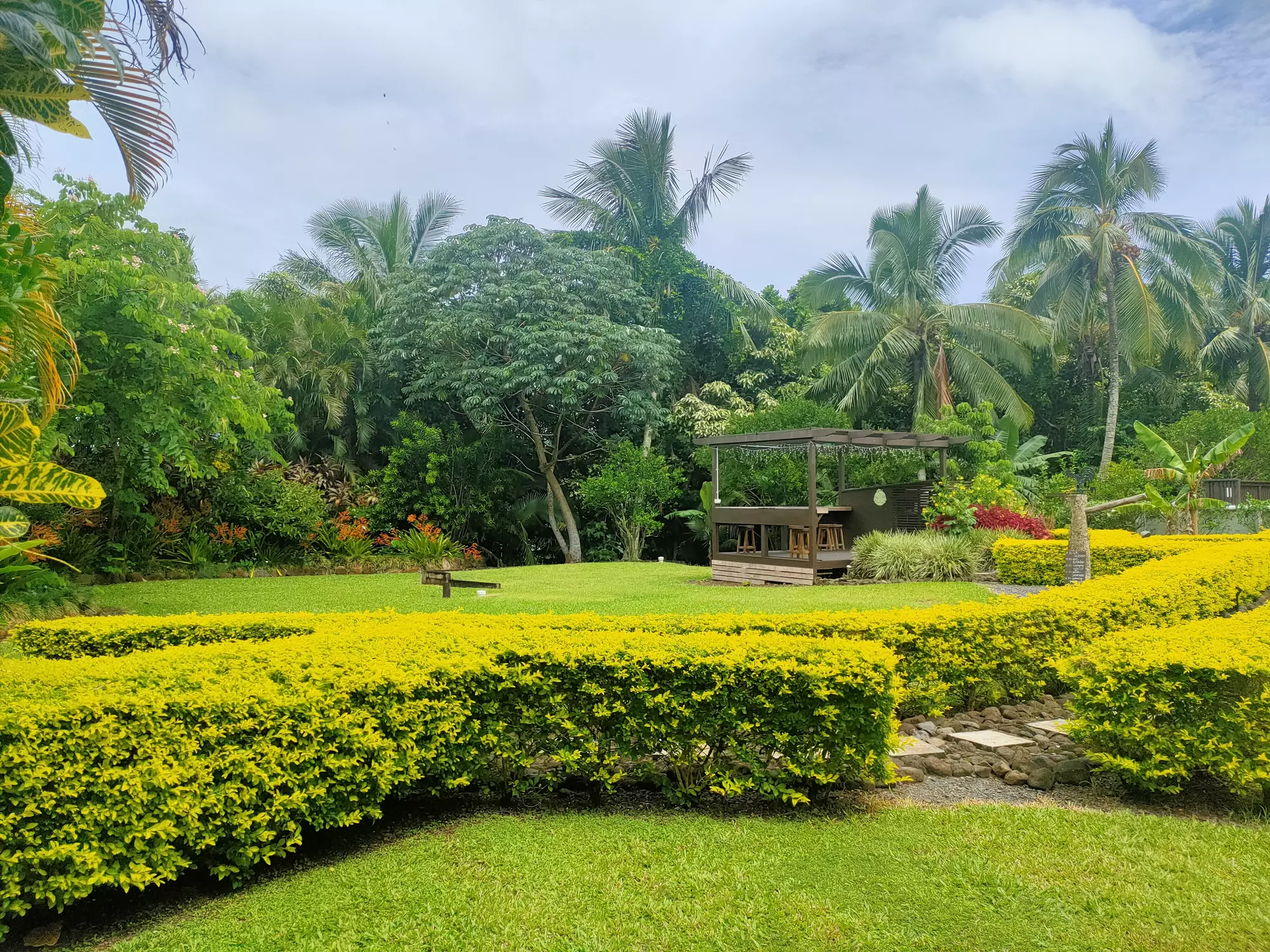 Bar garden.jpg