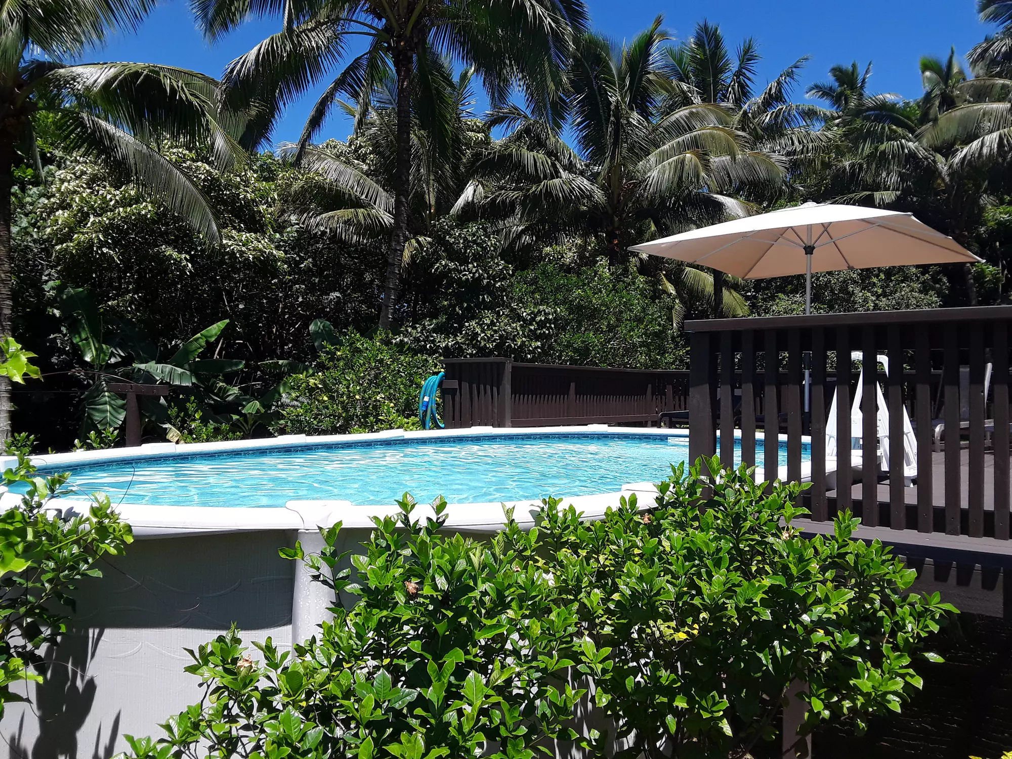 JJs Pool.jpg
