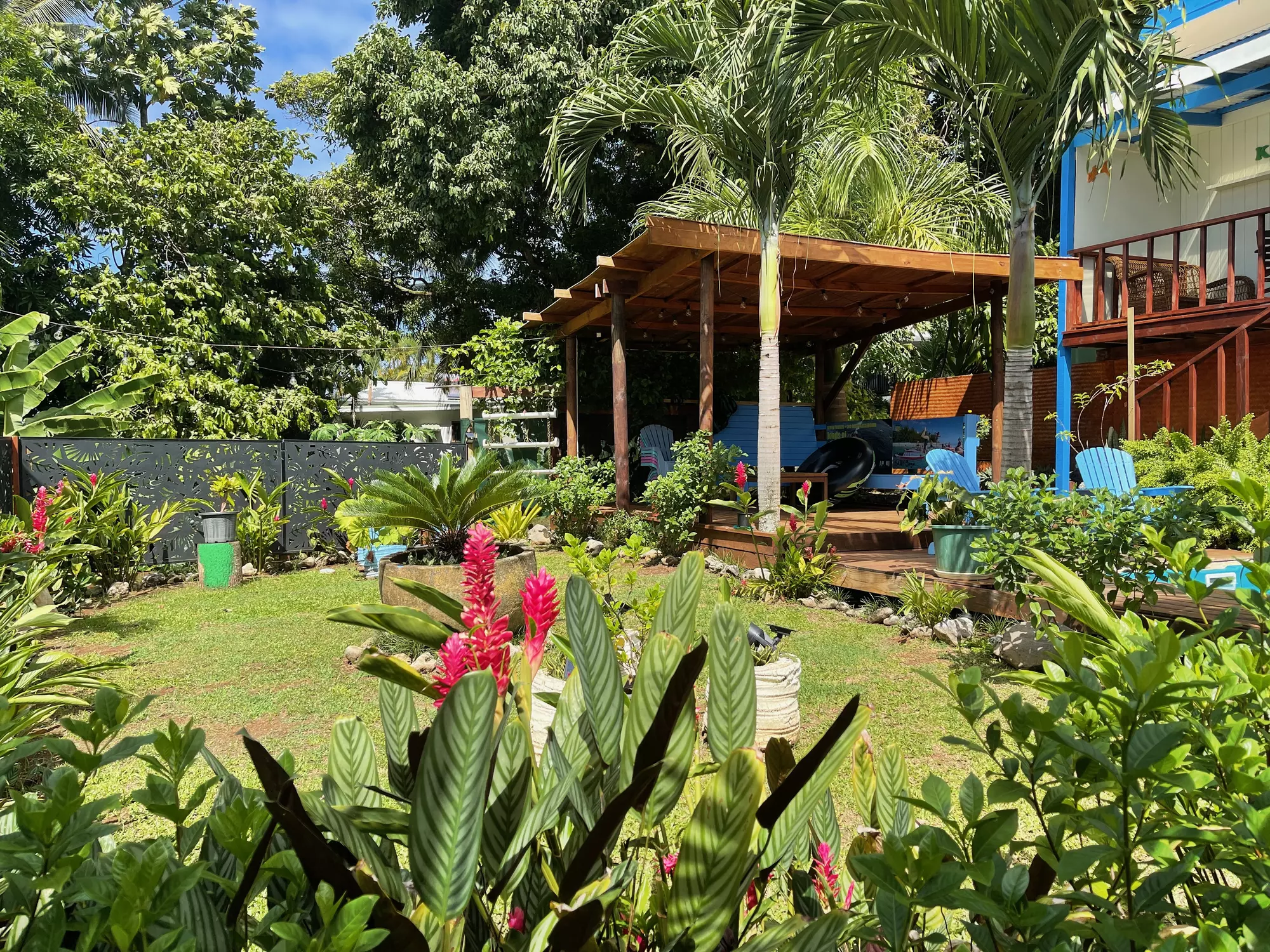 ariki