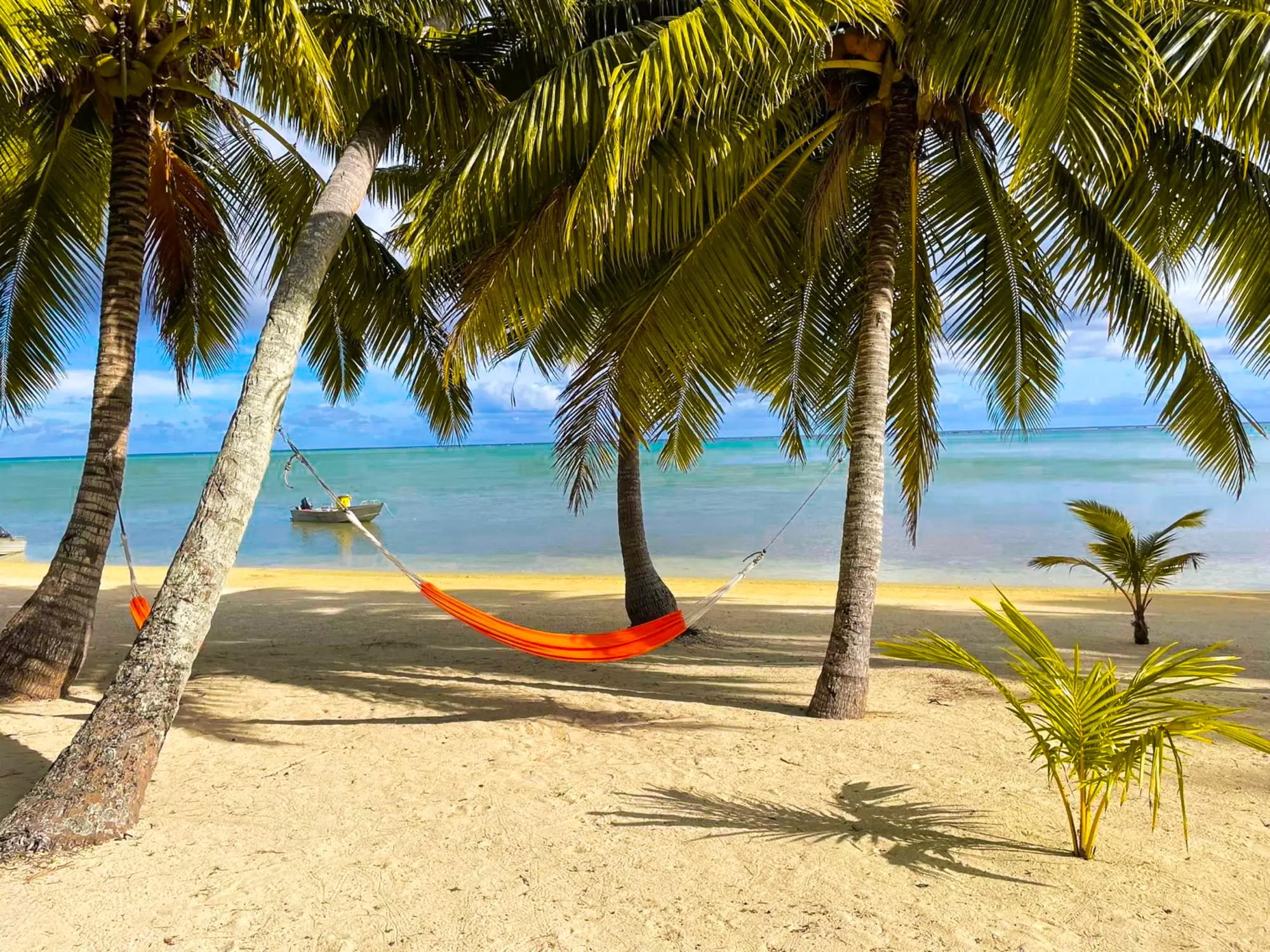 Paparei's Beachfront Bungalows