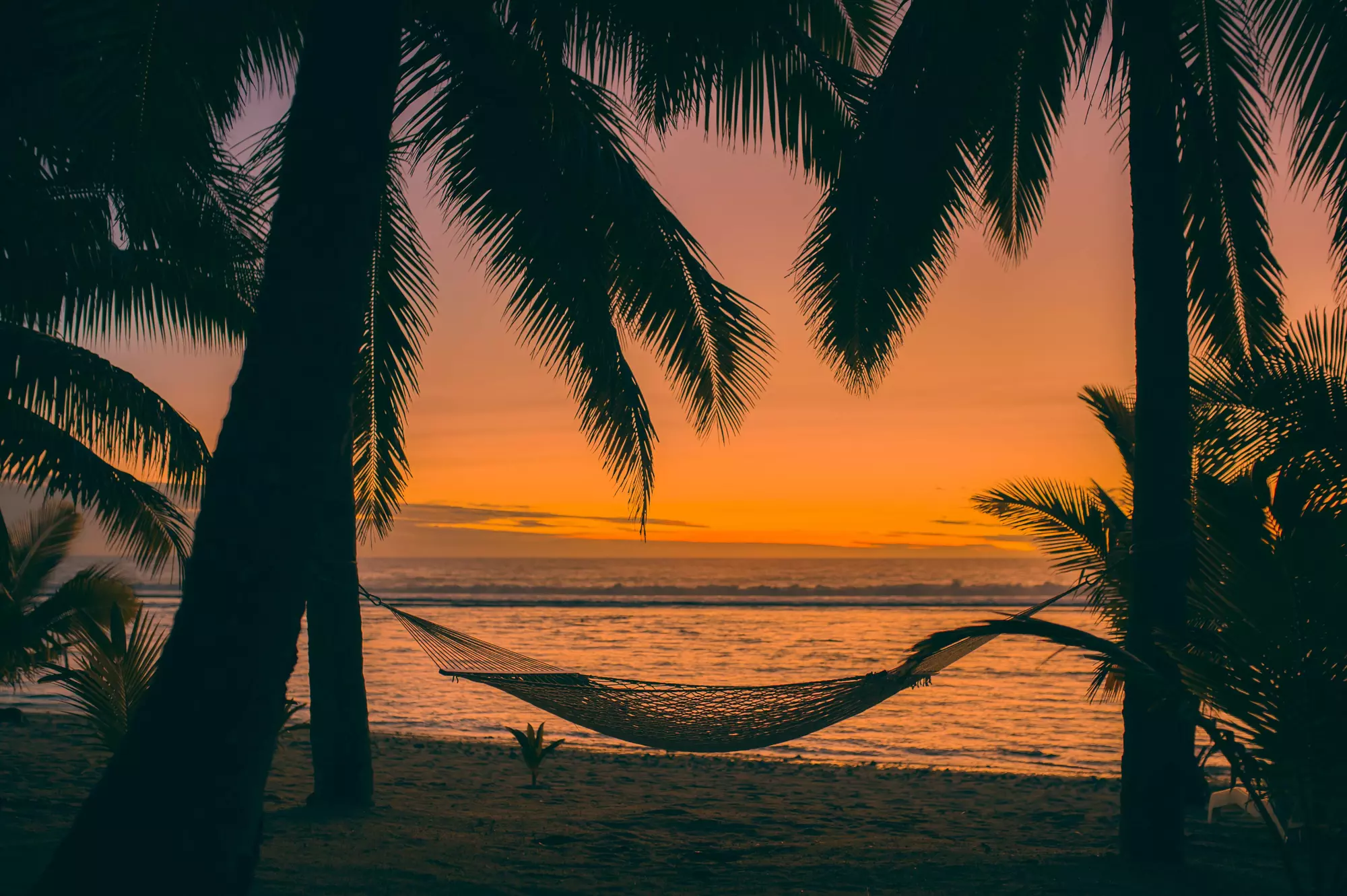 Sunset Resort