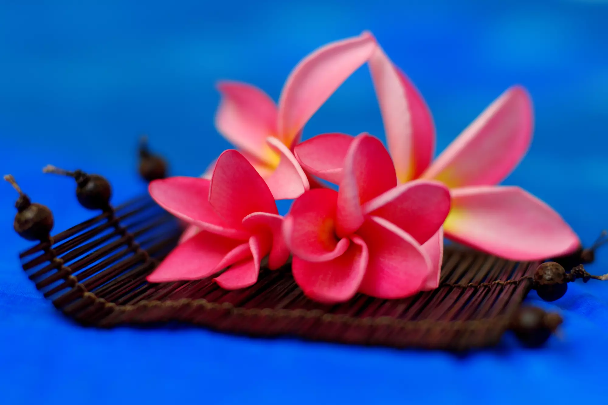 Spa Polynesia