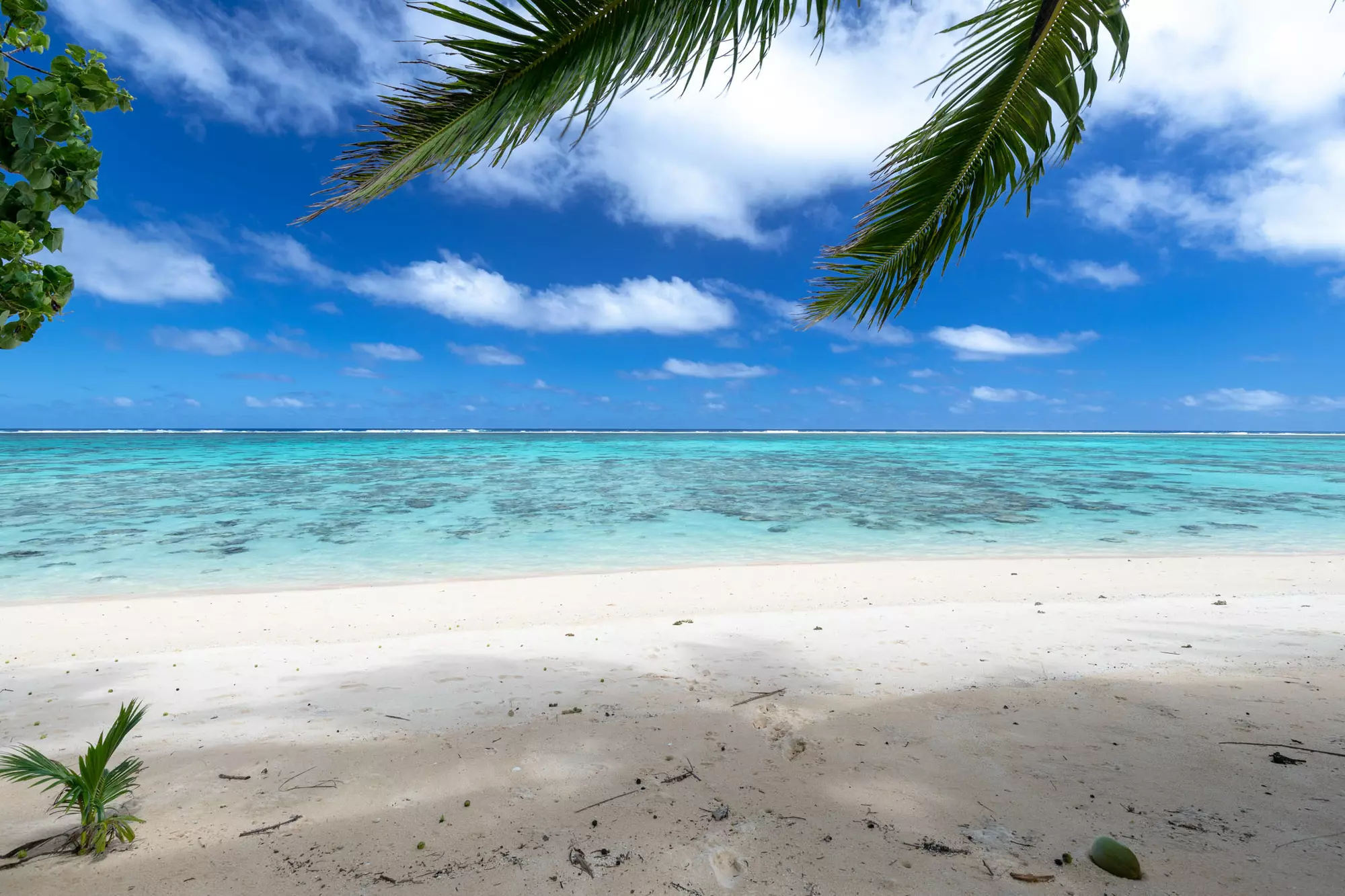 Rarotonga Tropical Holidays