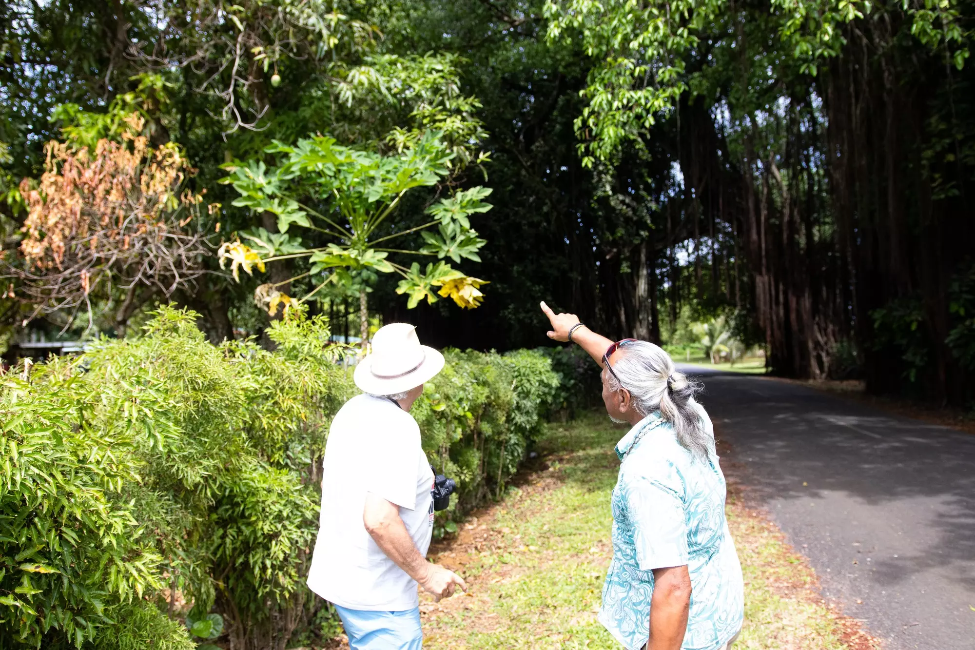 Tavai Inventure Land Tours