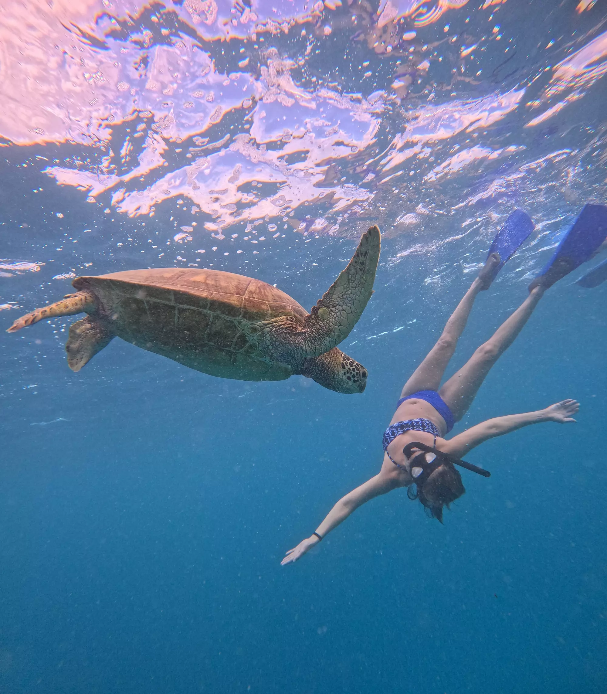 Moana Sea-Scooters
