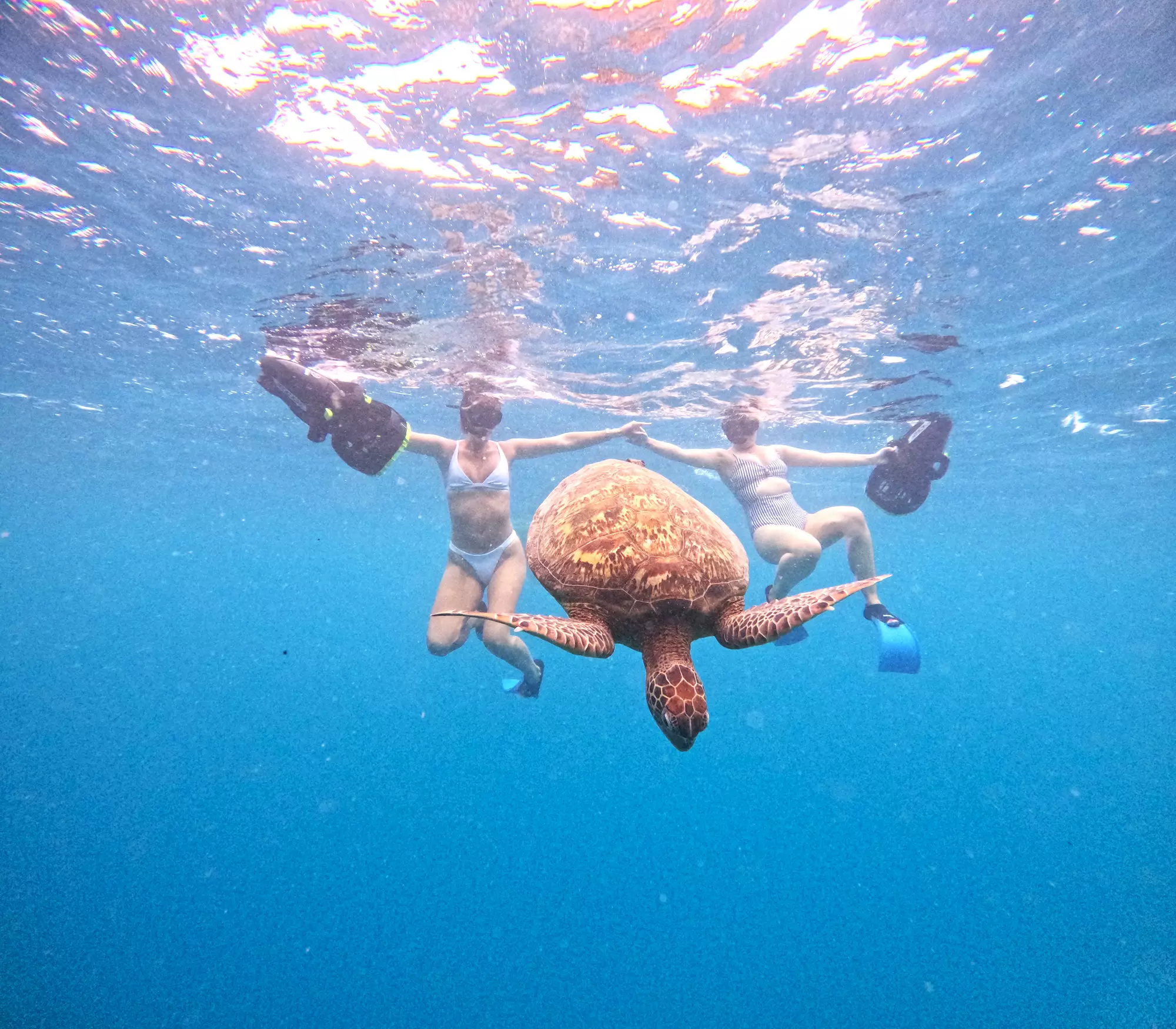 Moana Sea-Scooters