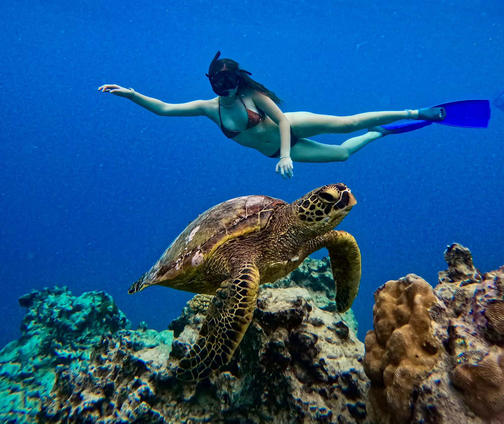 Go Local Turtle with Woman