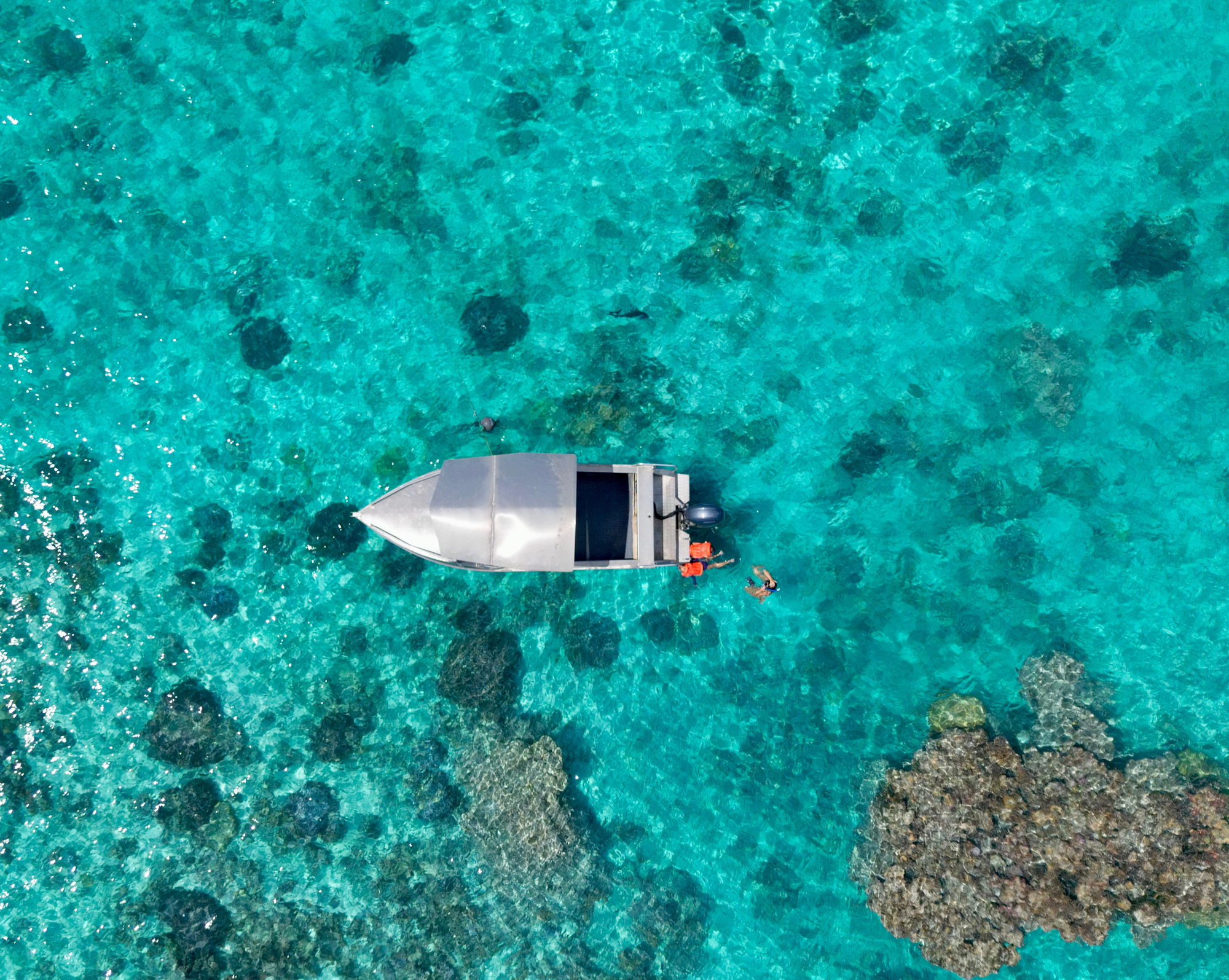 Coral T Tours