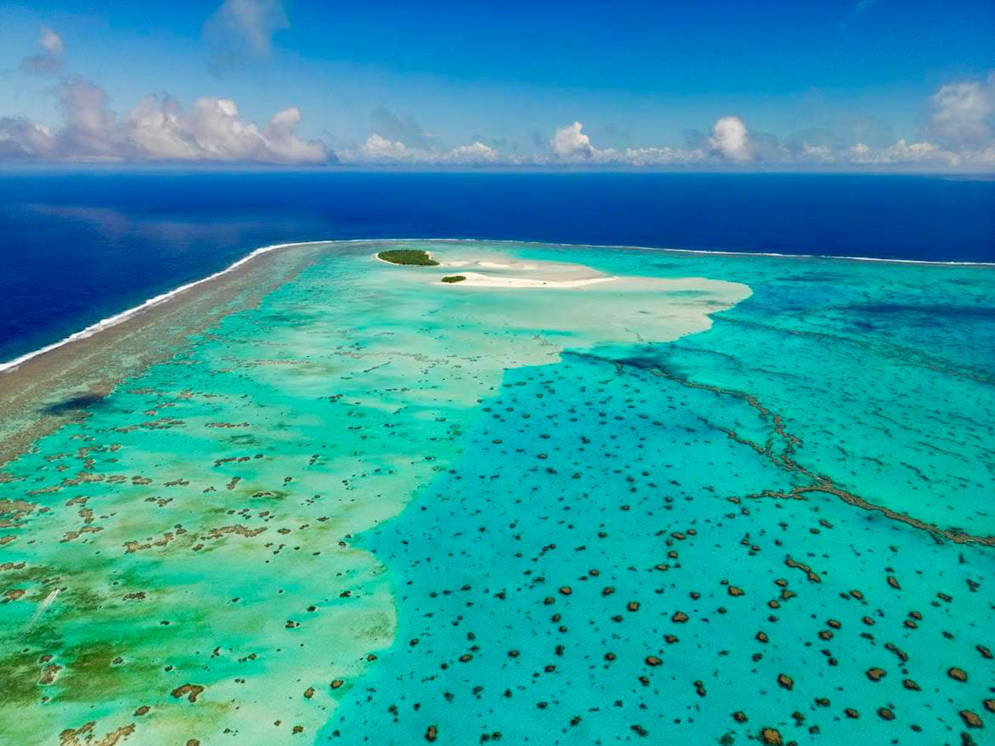 Honeymoon Island T Tours