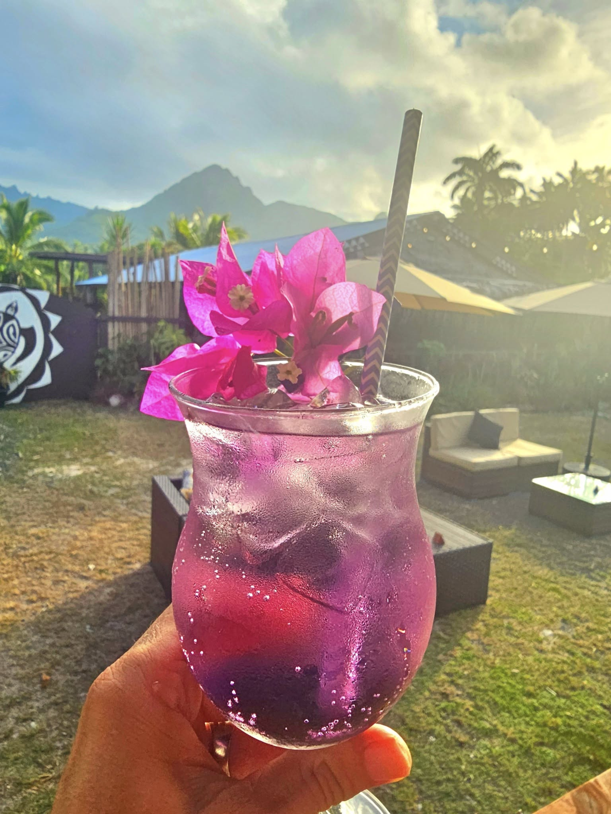 Pink fizzy cocktail