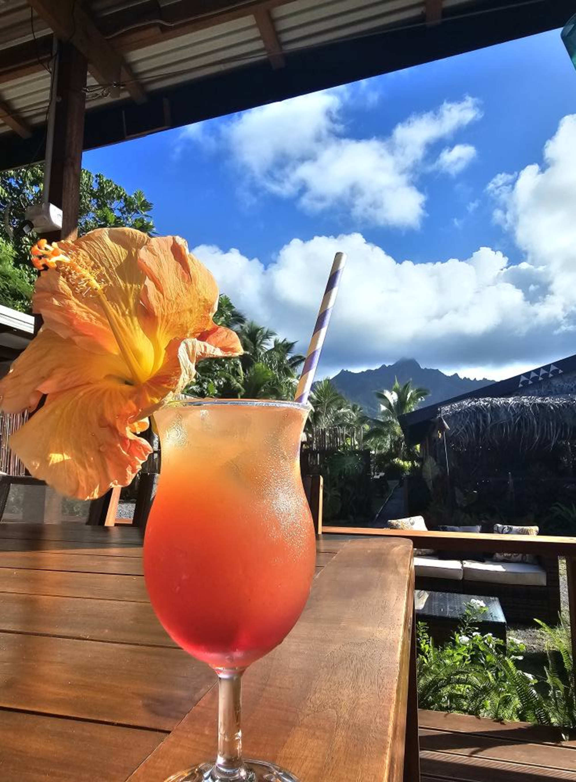 Orange cocktail